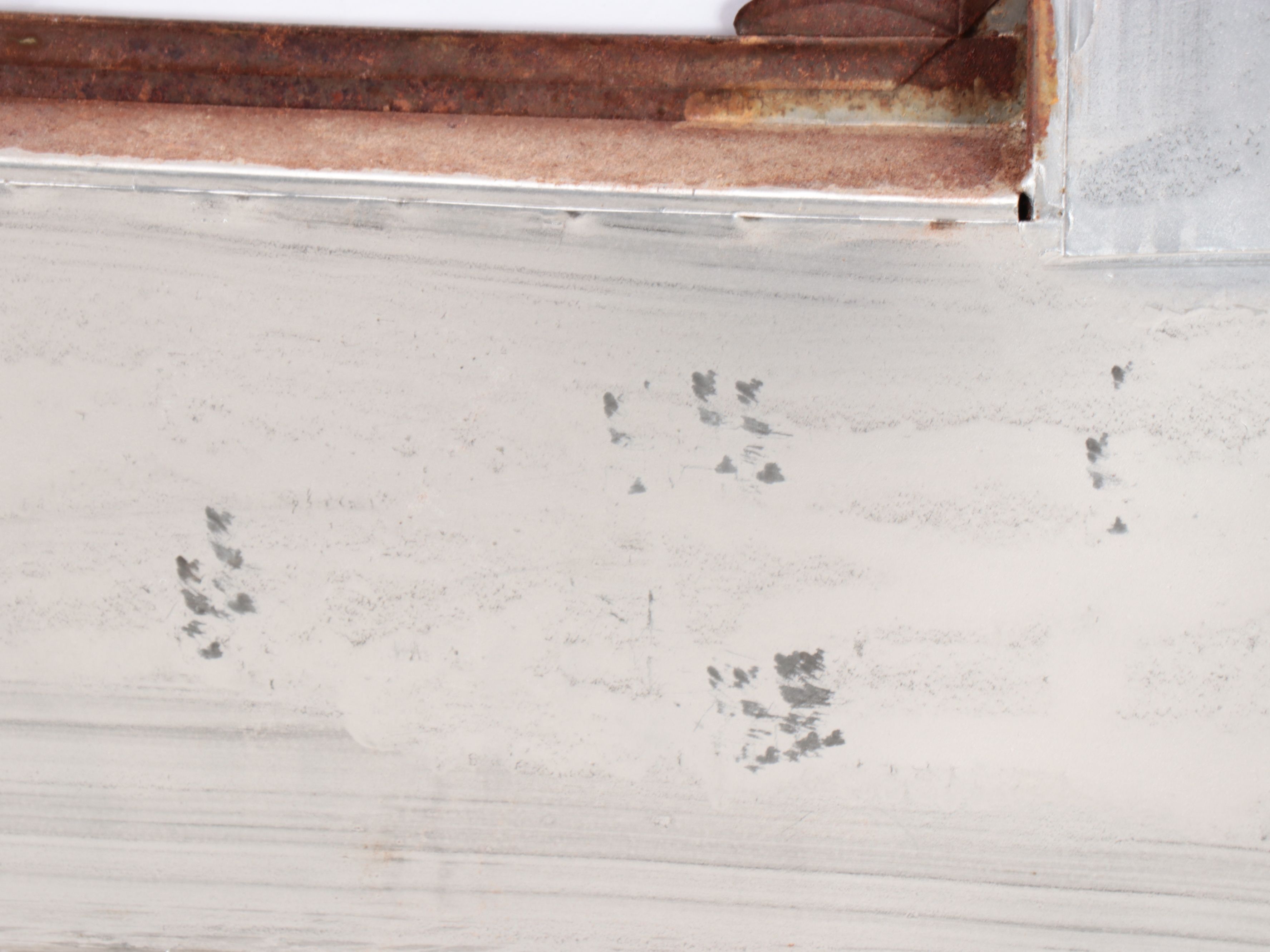 Mexican Embossed Silver Finish Metal Frame