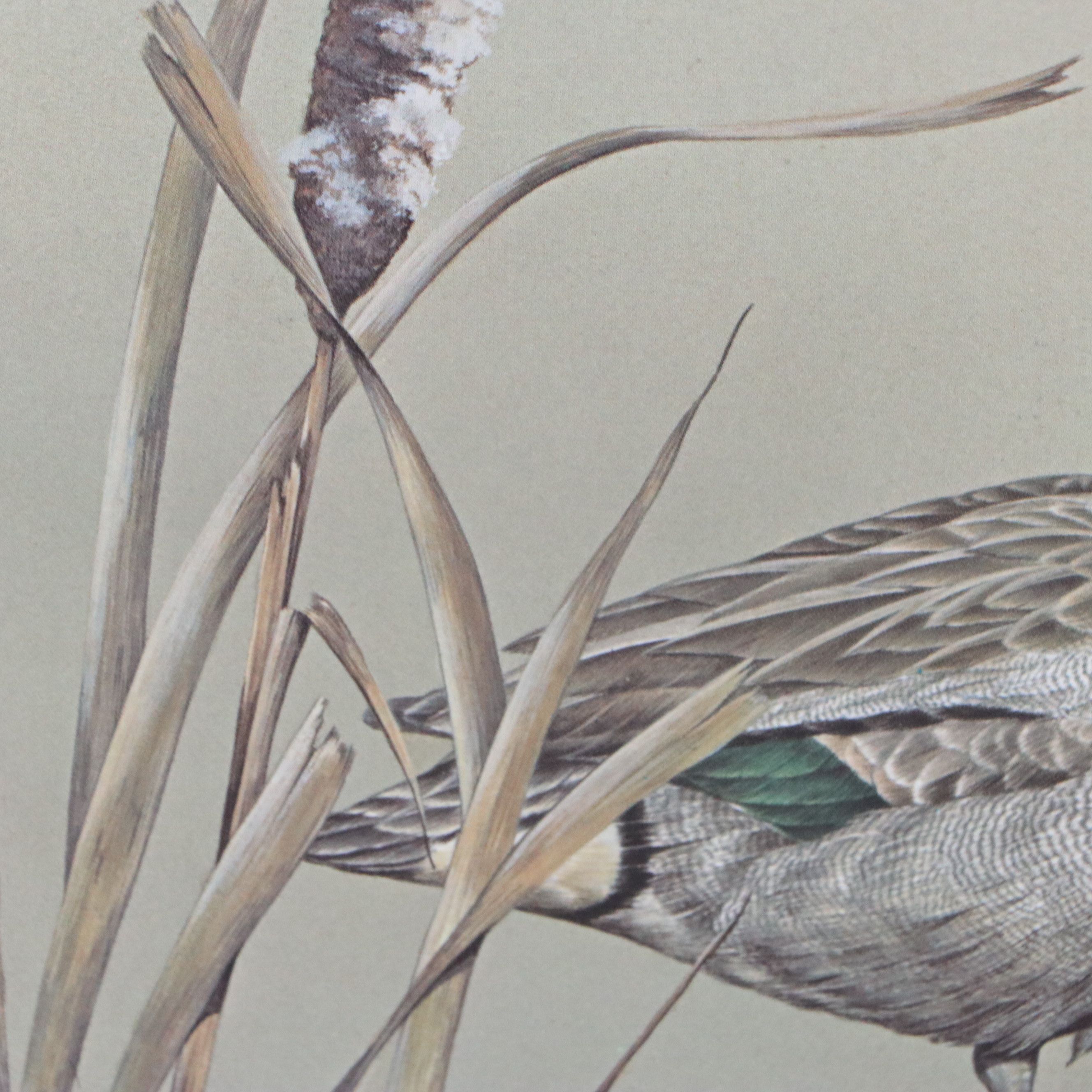 David Smith Arizona Duck Stamp Print with Stamp and More, 1987