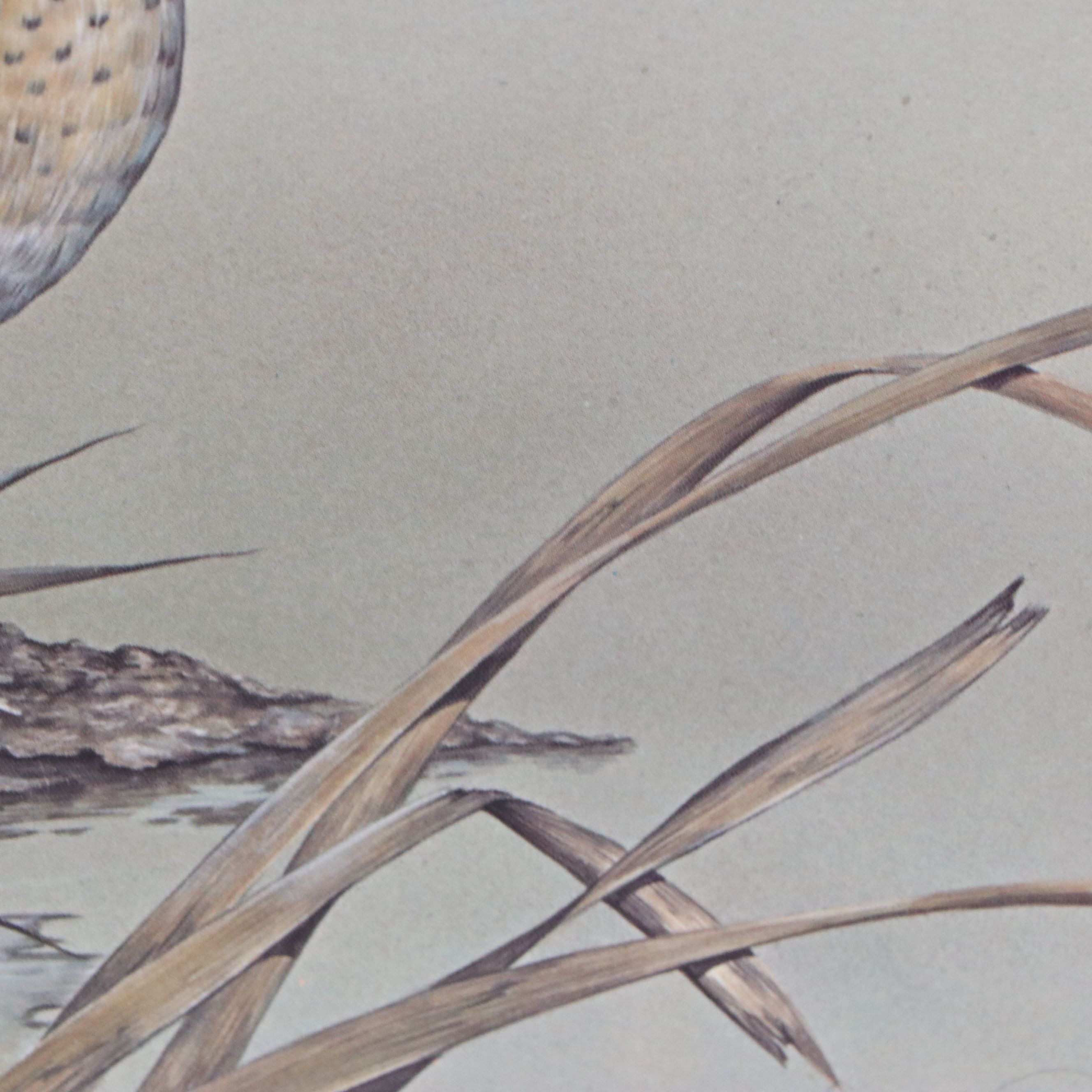 David Smith Arizona Duck Stamp Print with Stamp and More, 1987