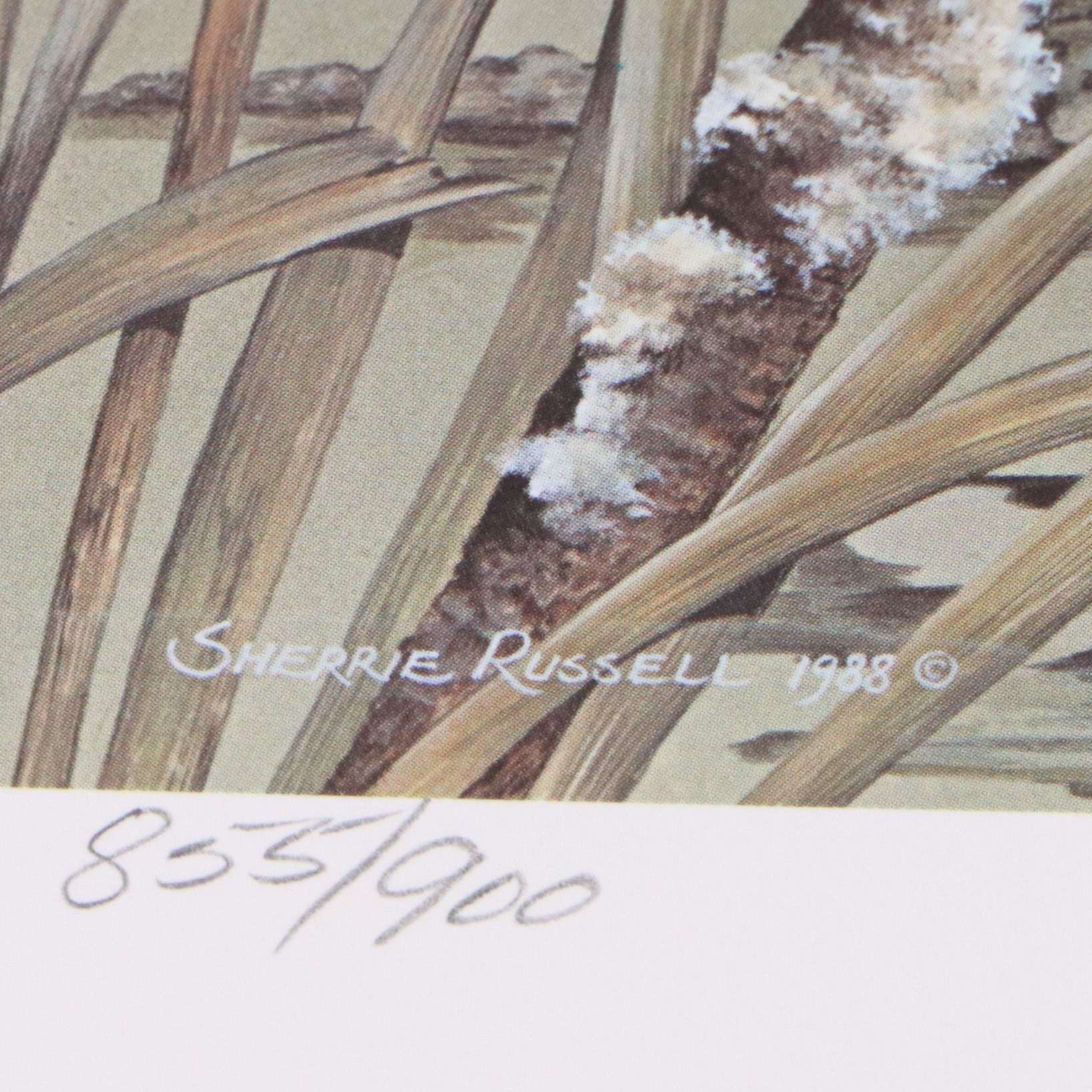 David Smith Arizona Duck Stamp Print with Stamp and More, 1987