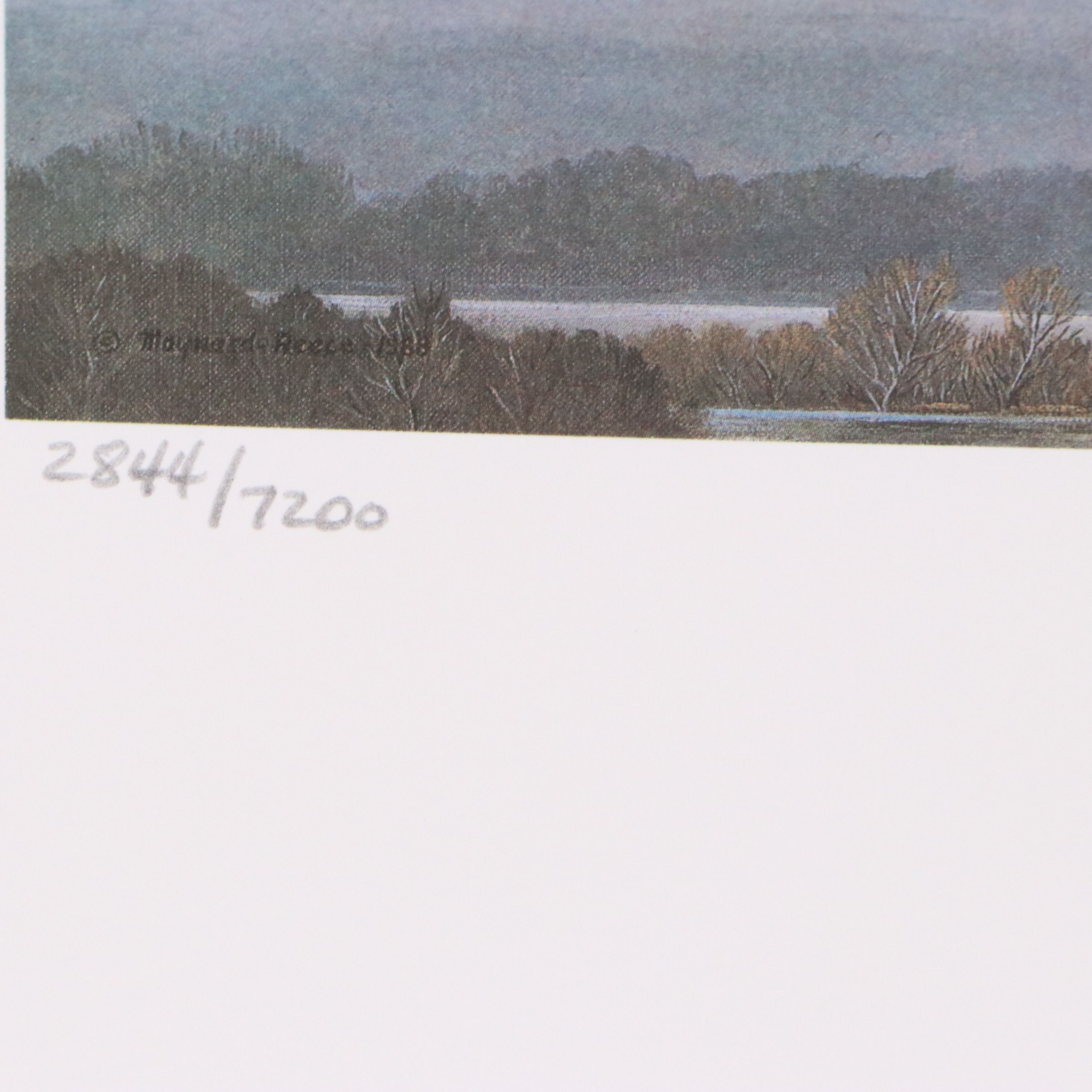 David Smith Arizona Duck Stamp Print with Stamp and More, 1987