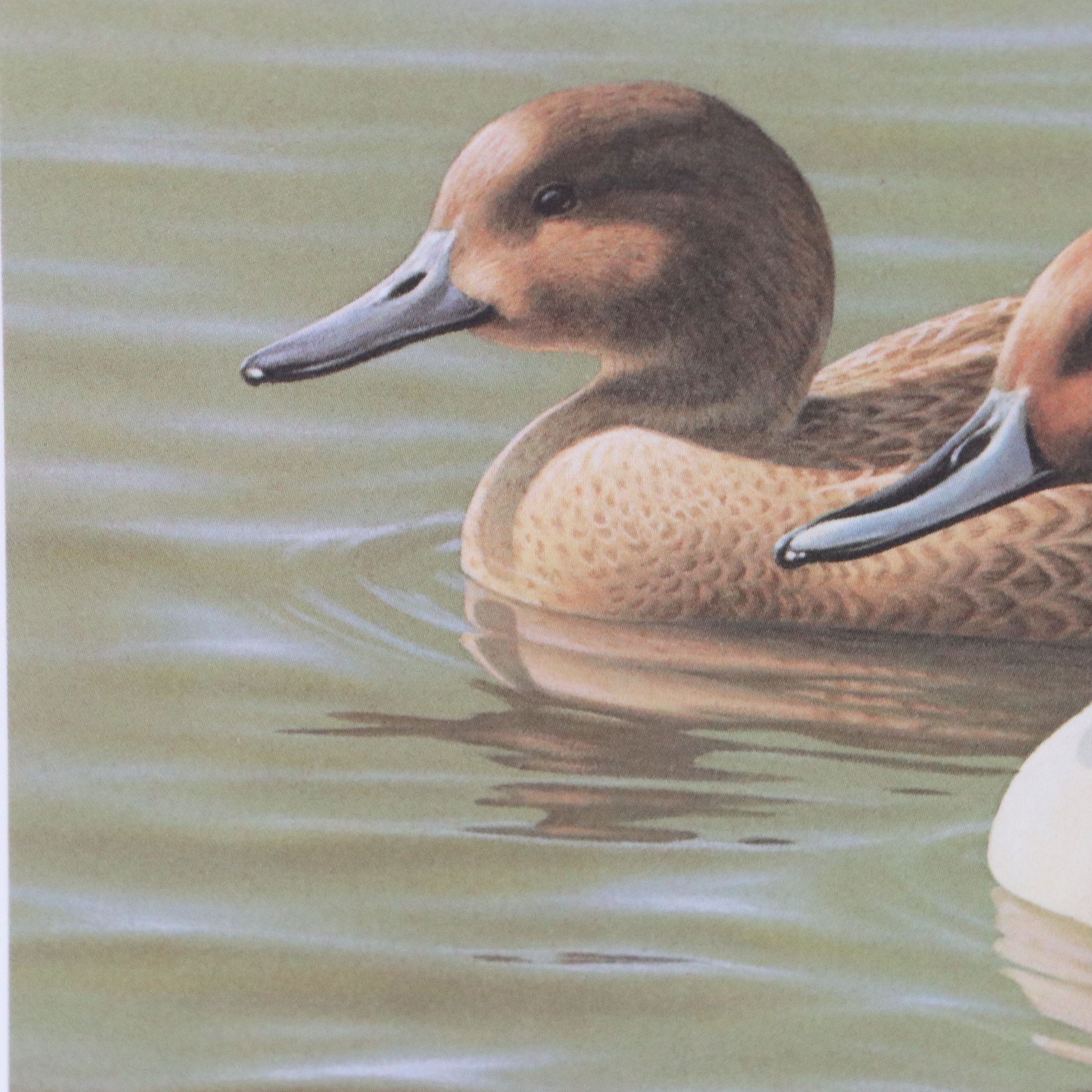 David Smith Arizona Duck Stamp Print with Stamp and More, 1987