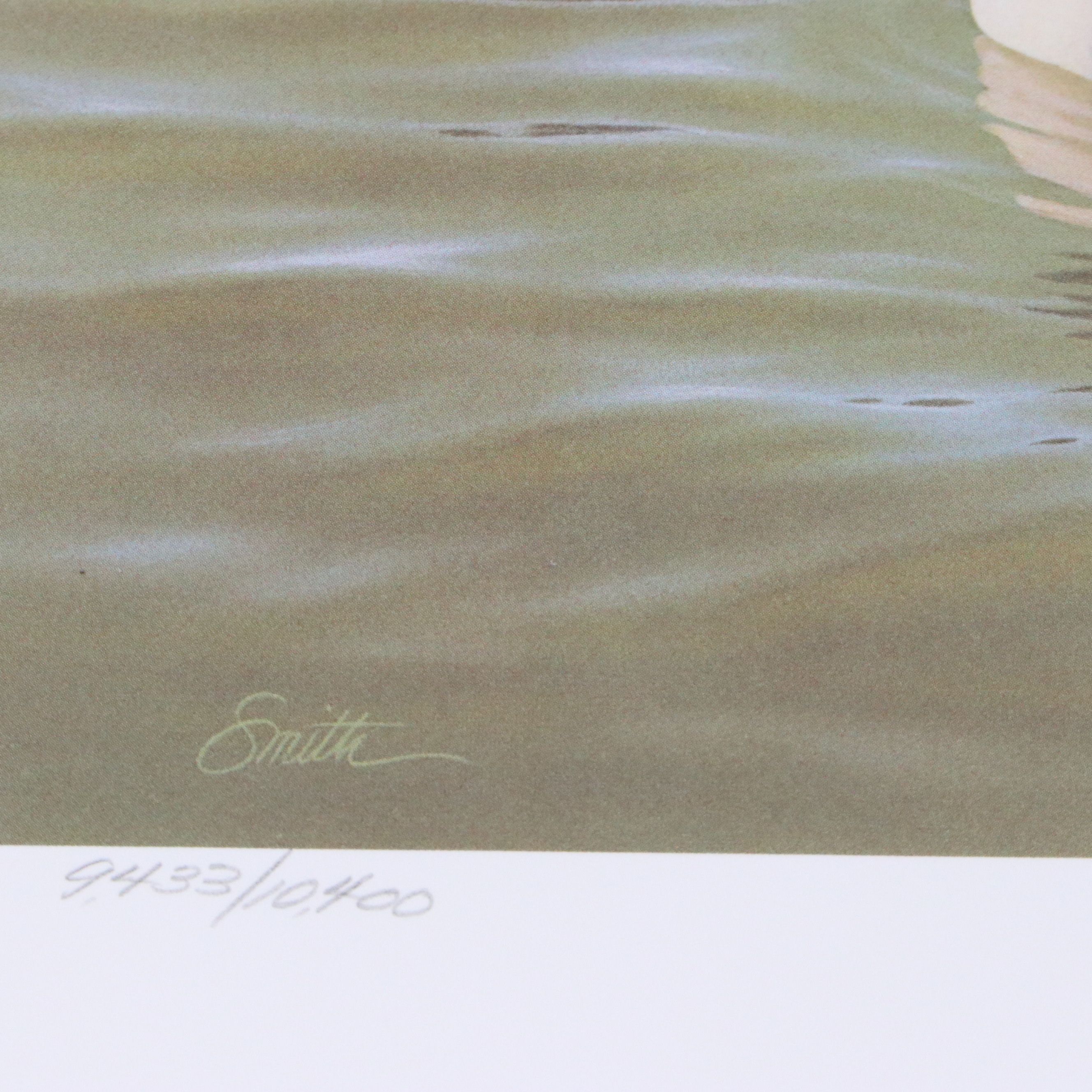 David Smith Arizona Duck Stamp Print with Stamp and More, 1987