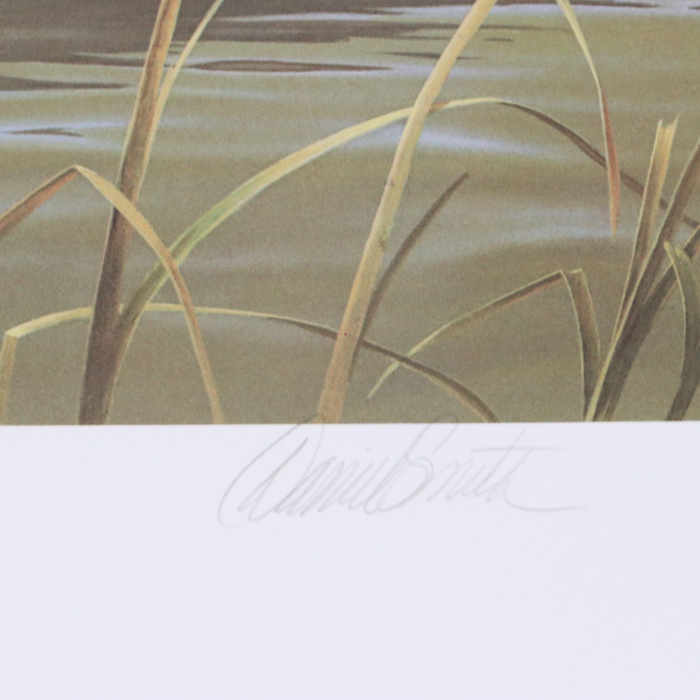 David Smith Arizona Duck Stamp Print with Stamp and More, 1987