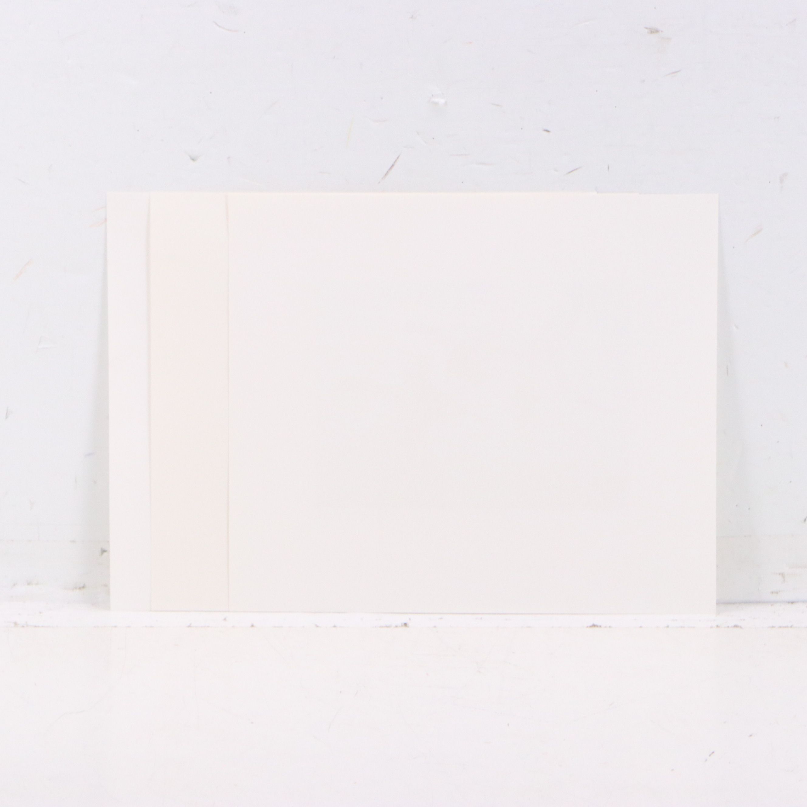 David Smith Arizona Duck Stamp Print with Stamp and More, 1987