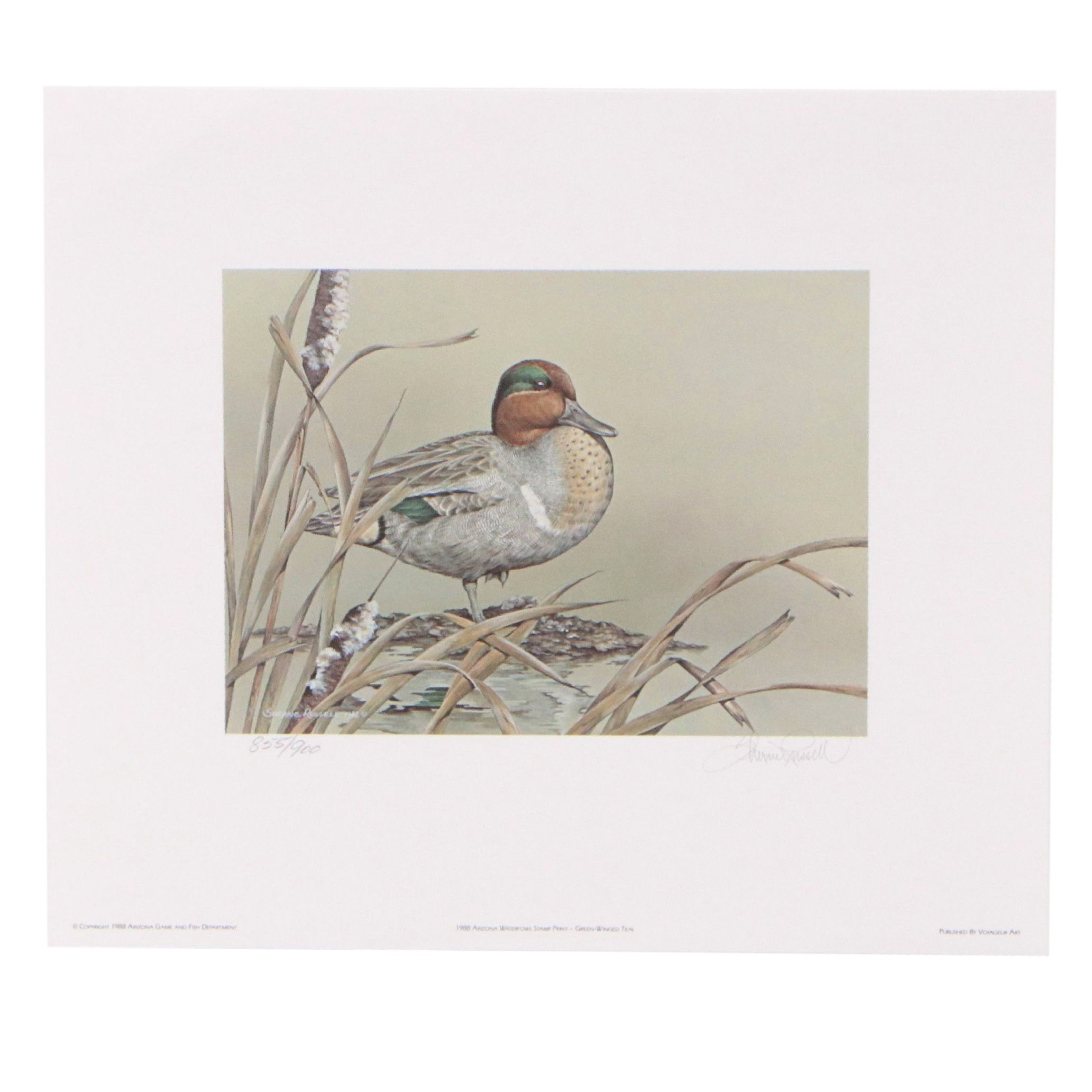 David Smith Arizona Duck Stamp Print with Stamp and More, 1987