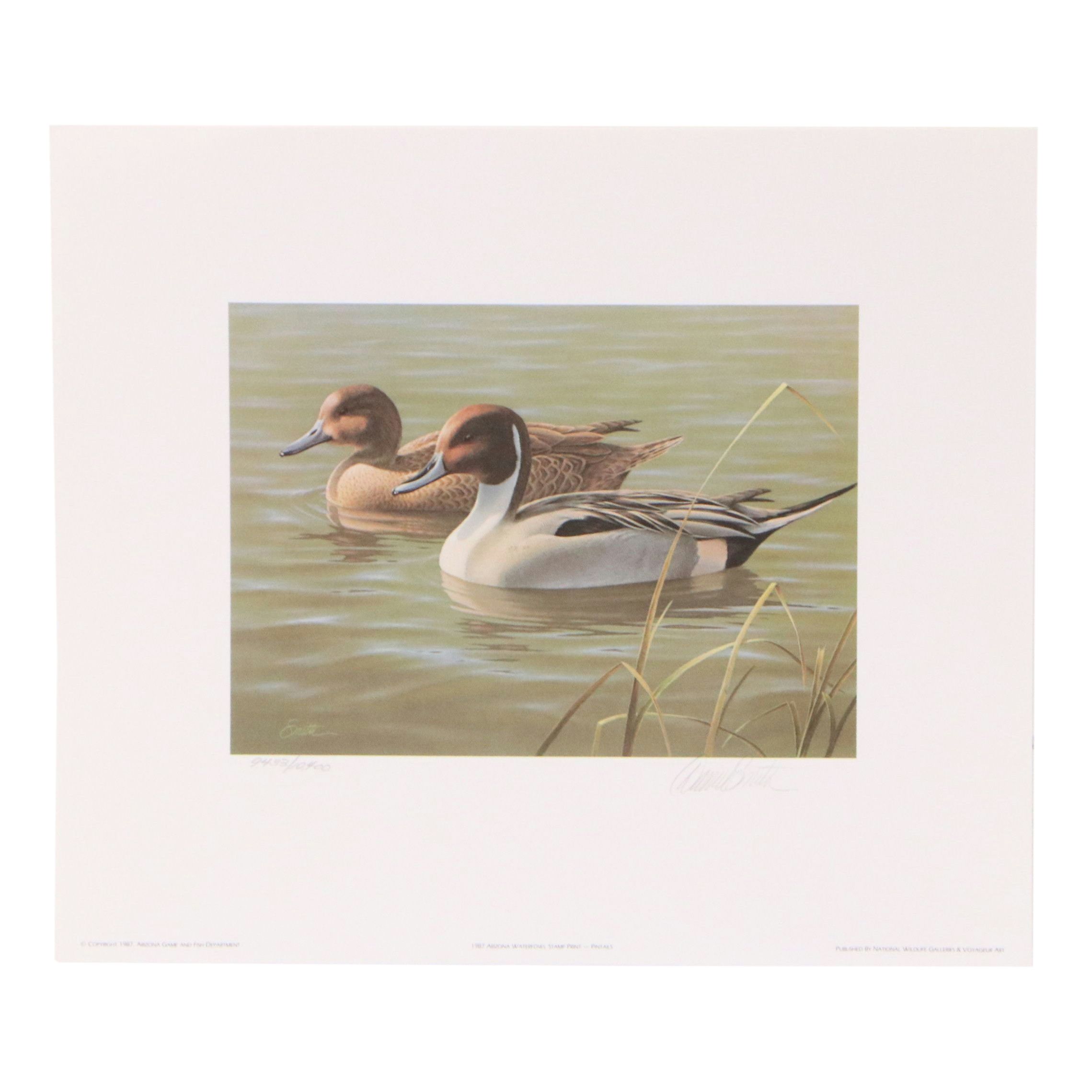 David Smith Arizona Duck Stamp Print with Stamp and More, 1987