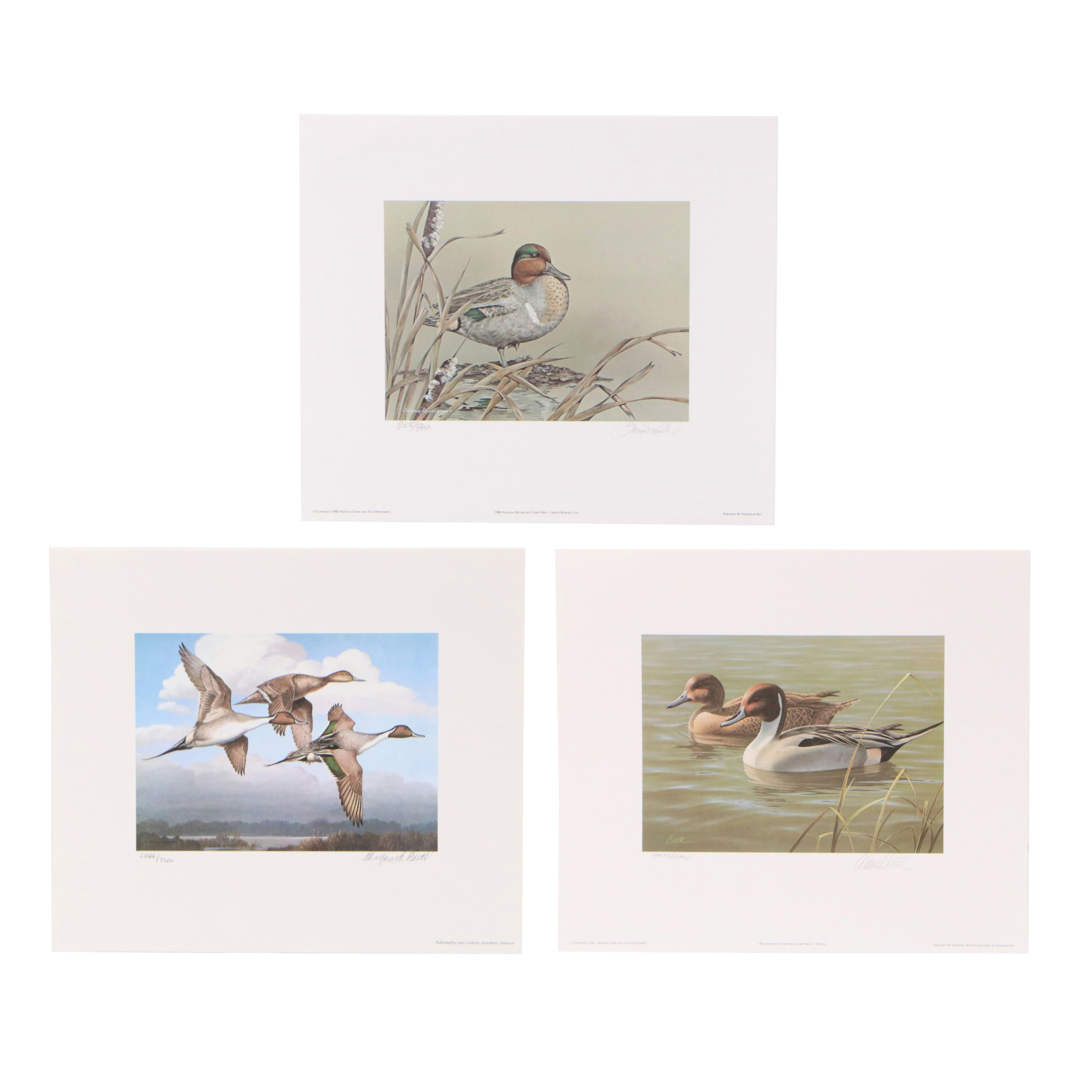 David Smith Arizona Duck Stamp Print with Stamp and More, 1987