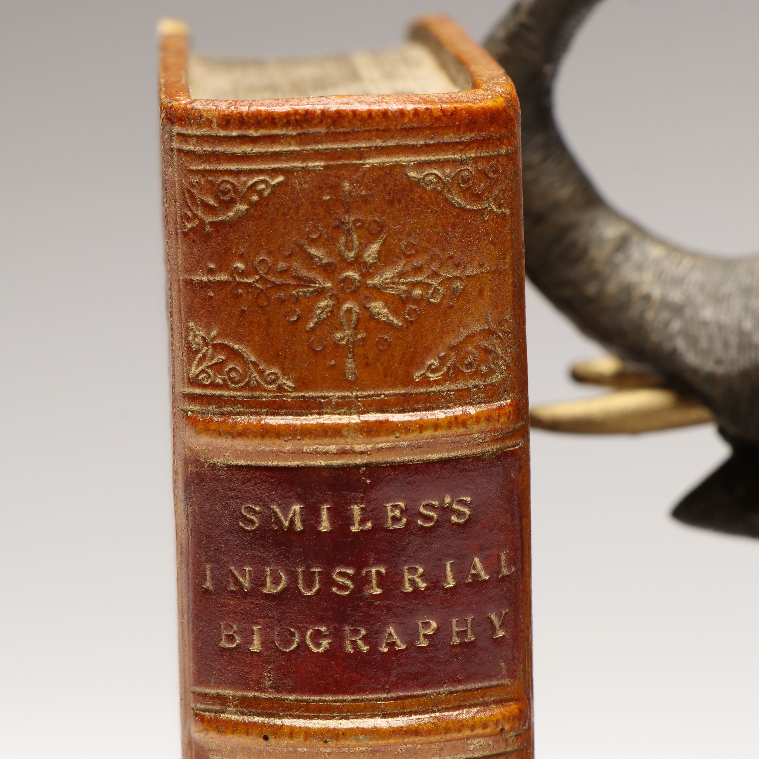 Cast Elephants on Composite Book Form Bookends