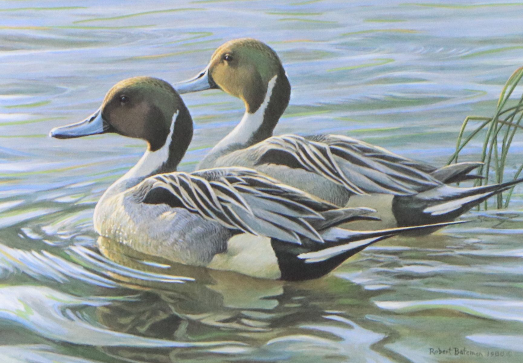 Isabel Levesque Canadian Geese Stamp Print with Stamp and More, 1986