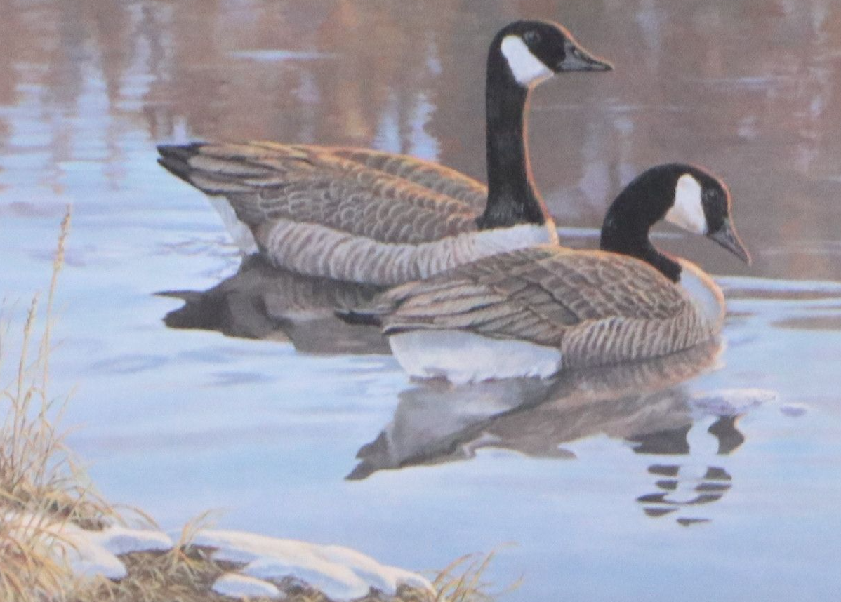 Isabel Levesque Canadian Geese Stamp Print with Stamp and More, 1986