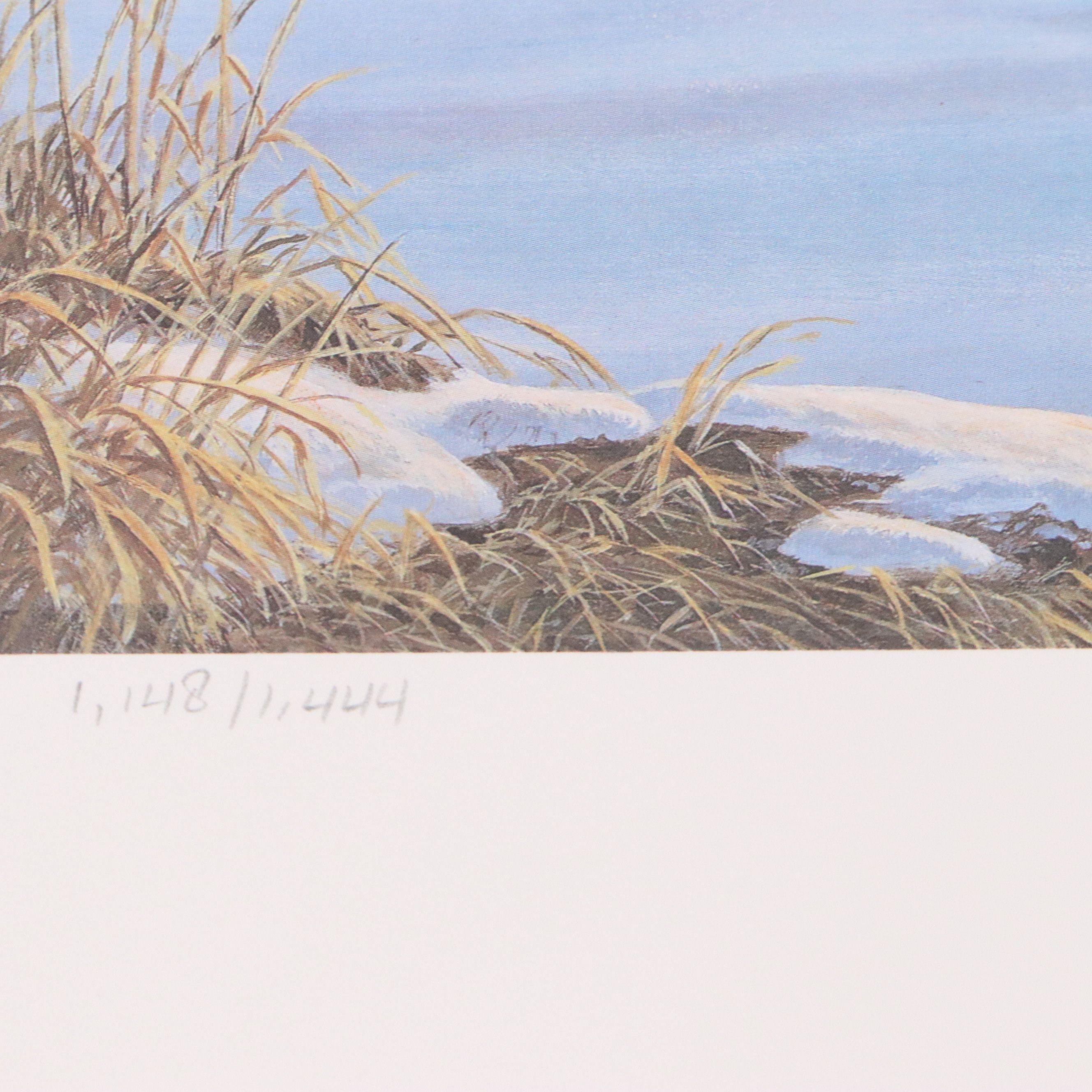 Isabel Levesque Canadian Geese Stamp Print with Stamp and More, 1986