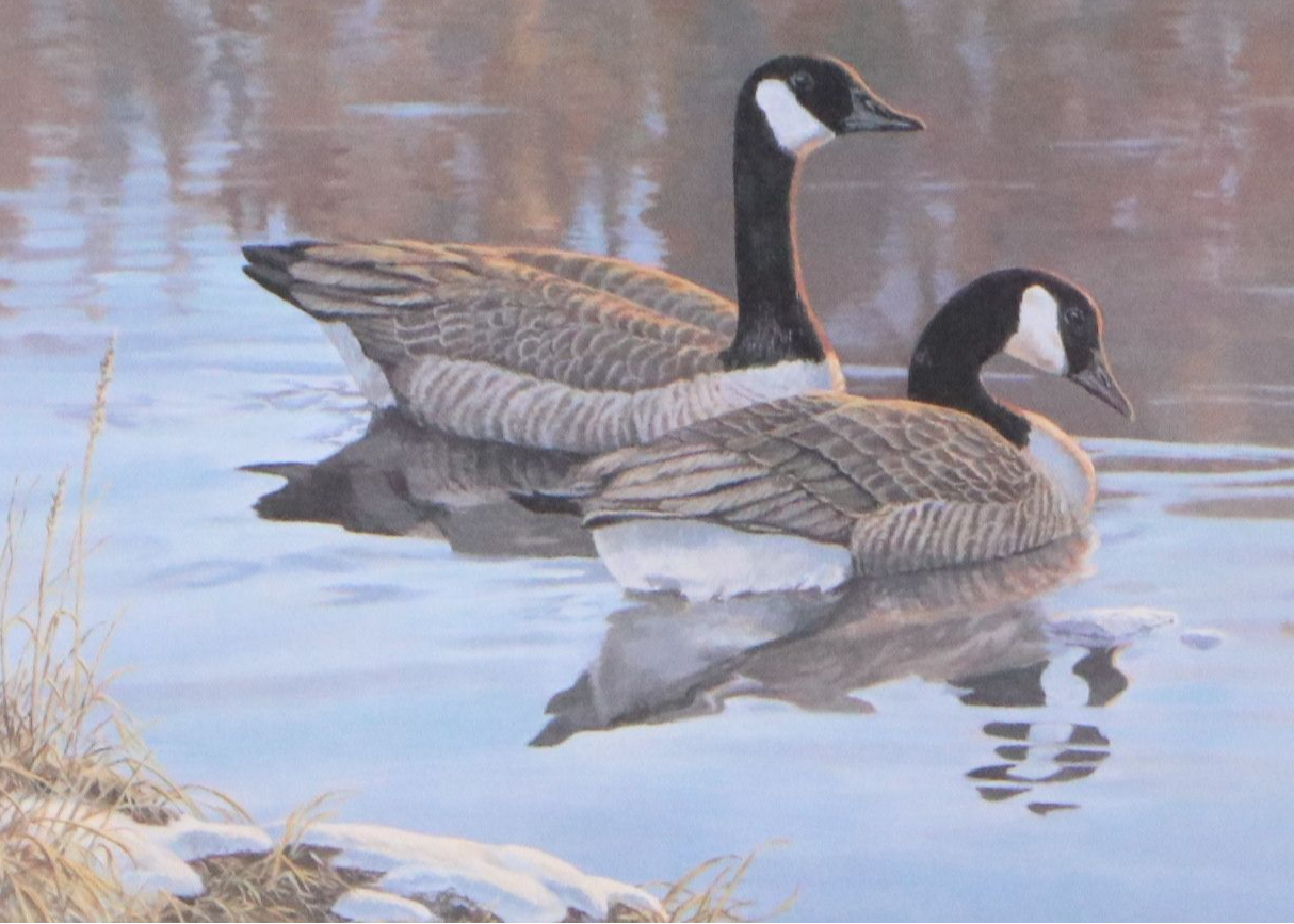 Isabel Levesque Canadian Geese Stamp Print with Stamp and More, 1986
