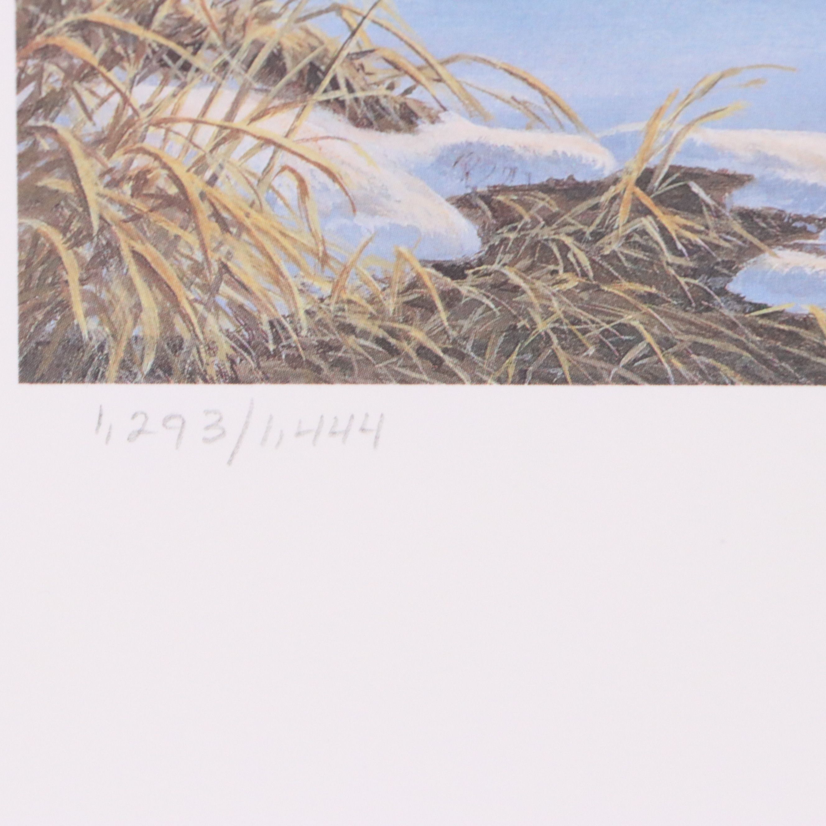 Isabel Levesque Canadian Geese Stamp Print with Stamp and More, 1986