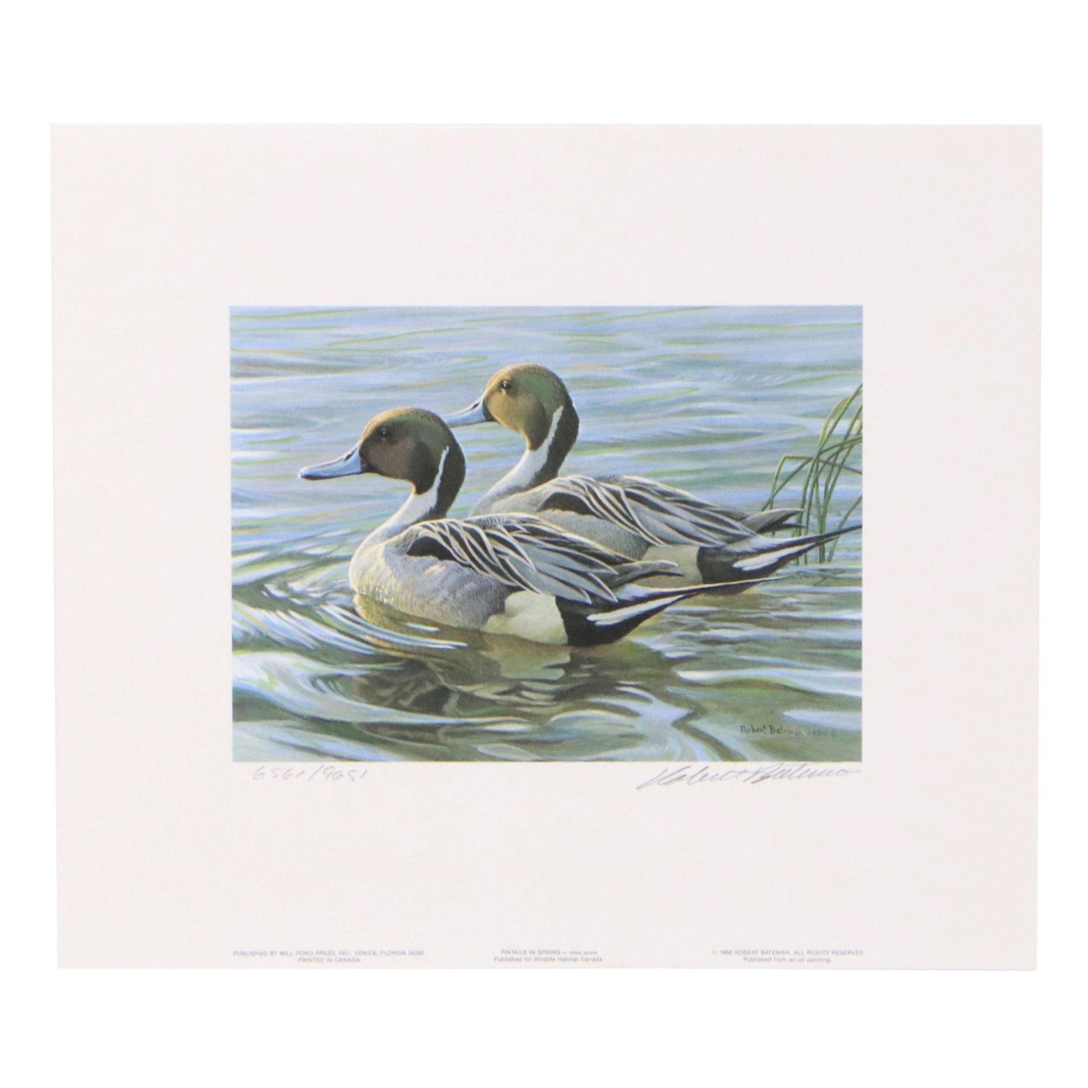 Isabel Levesque Canadian Geese Stamp Print with Stamp and More, 1986