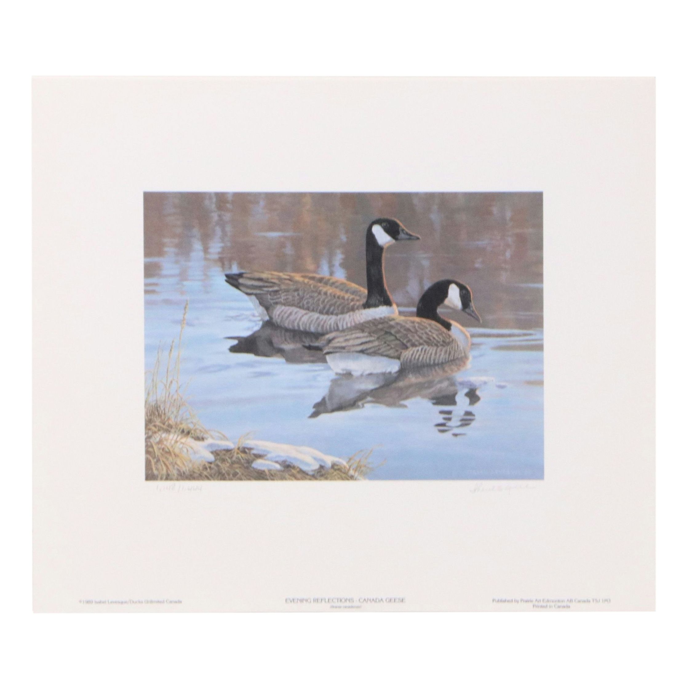 Isabel Levesque Canadian Geese Stamp Print with Stamp and More, 1986