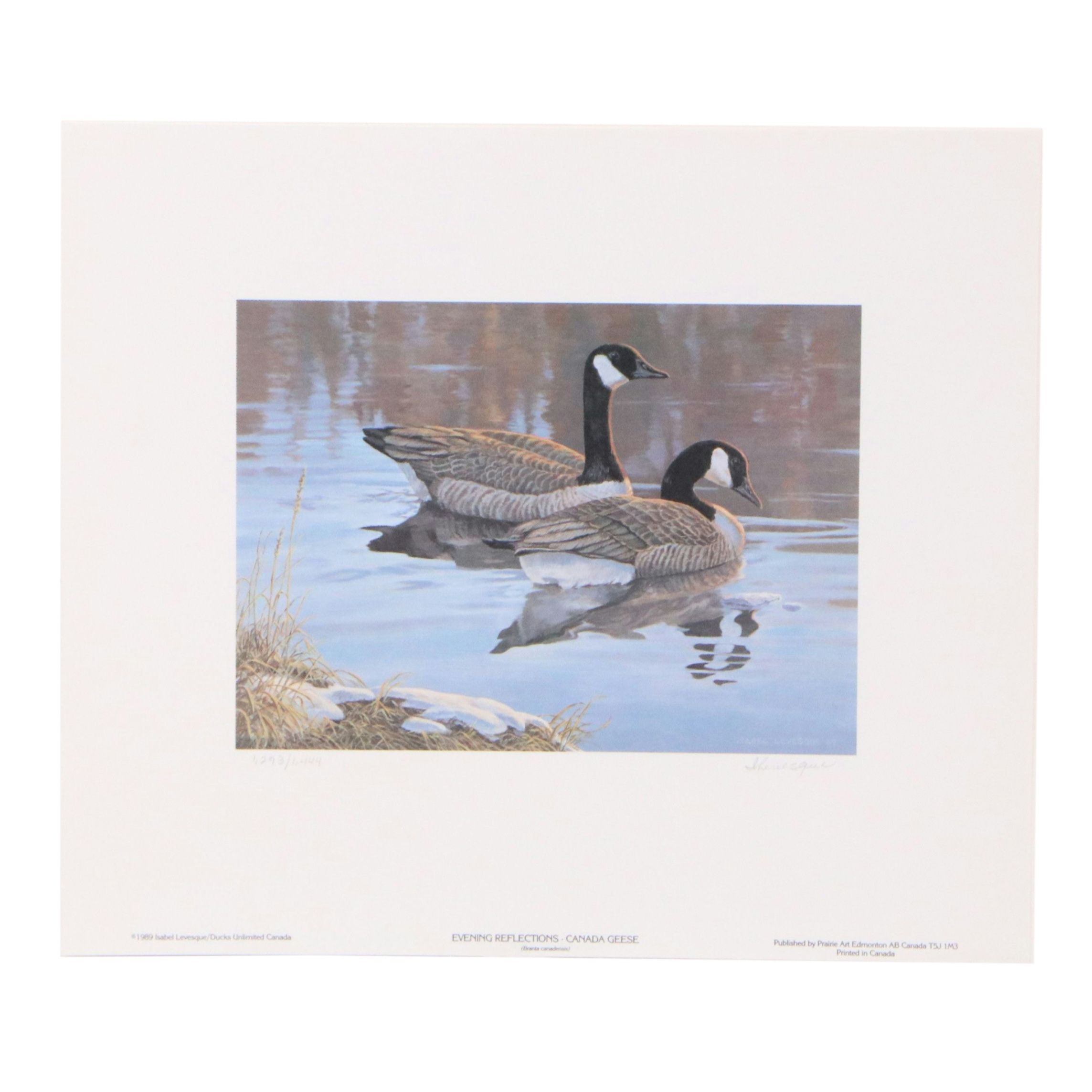 Isabel Levesque Canadian Geese Stamp Print with Stamp and More, 1986
