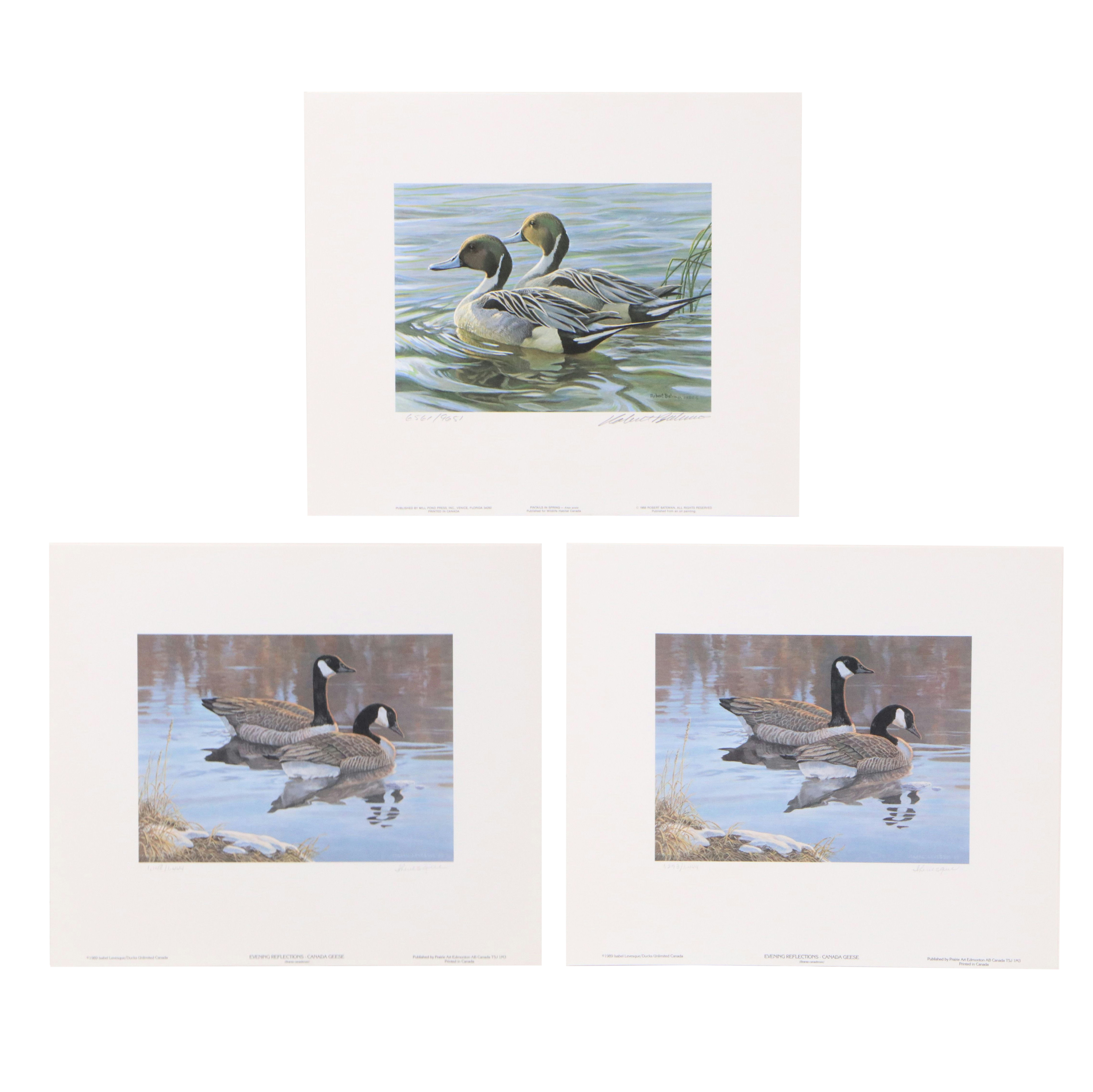 Isabel Levesque Canadian Geese Stamp Print with Stamp and More, 1986