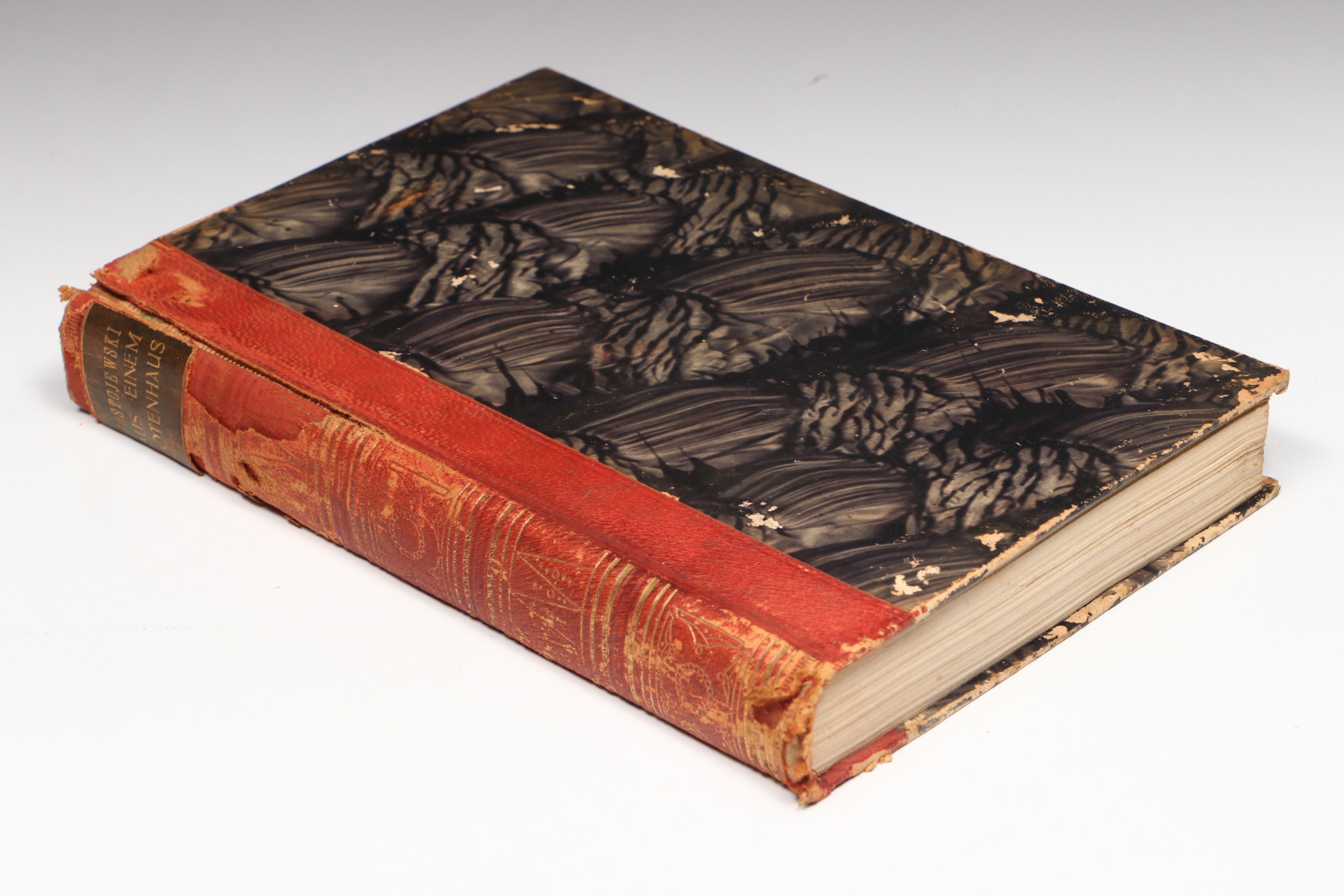 "Aus Einem Totenhaus" by Fyodor Dostoyevski and More German Books