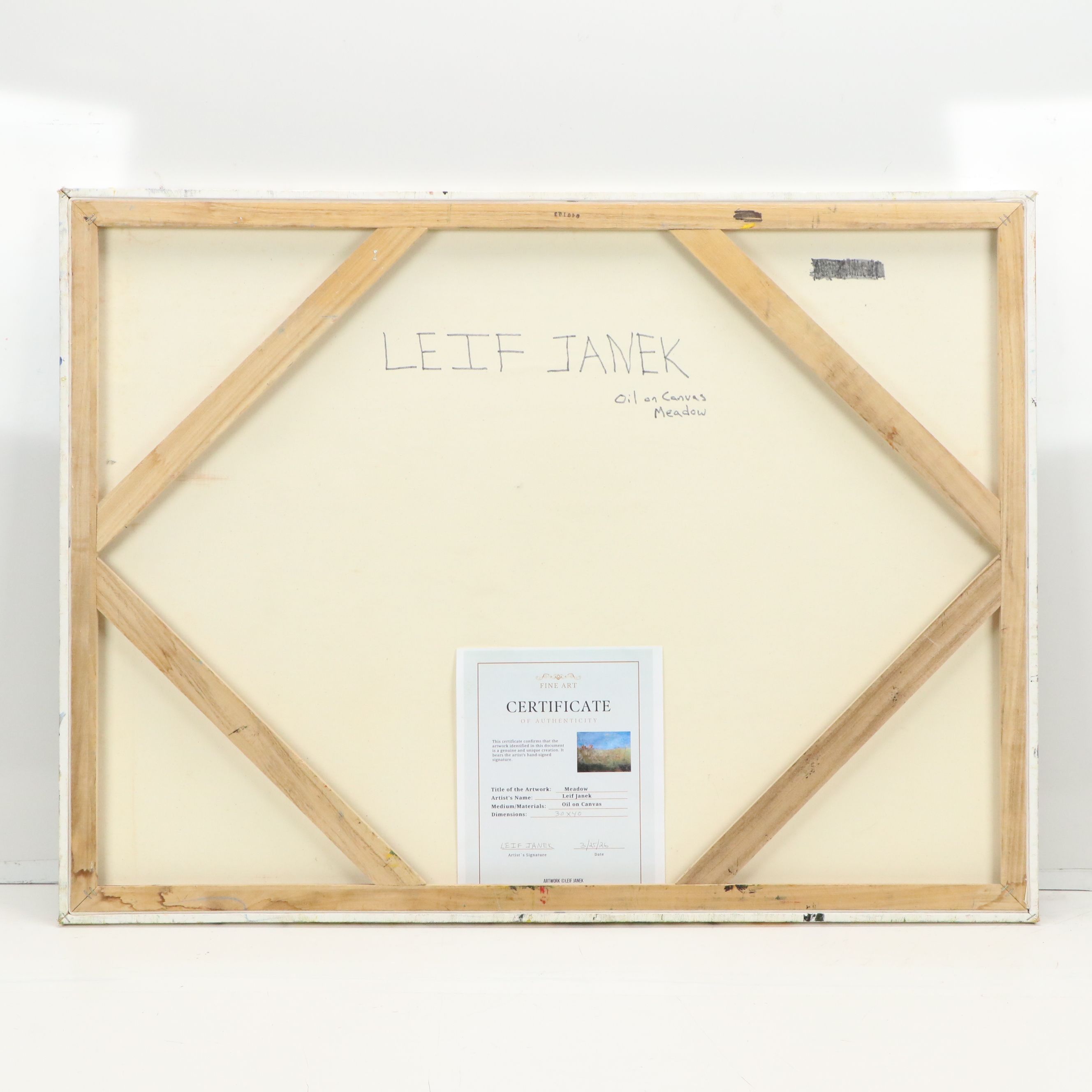 Leif Janek Oil Painting "Meadow," 2026