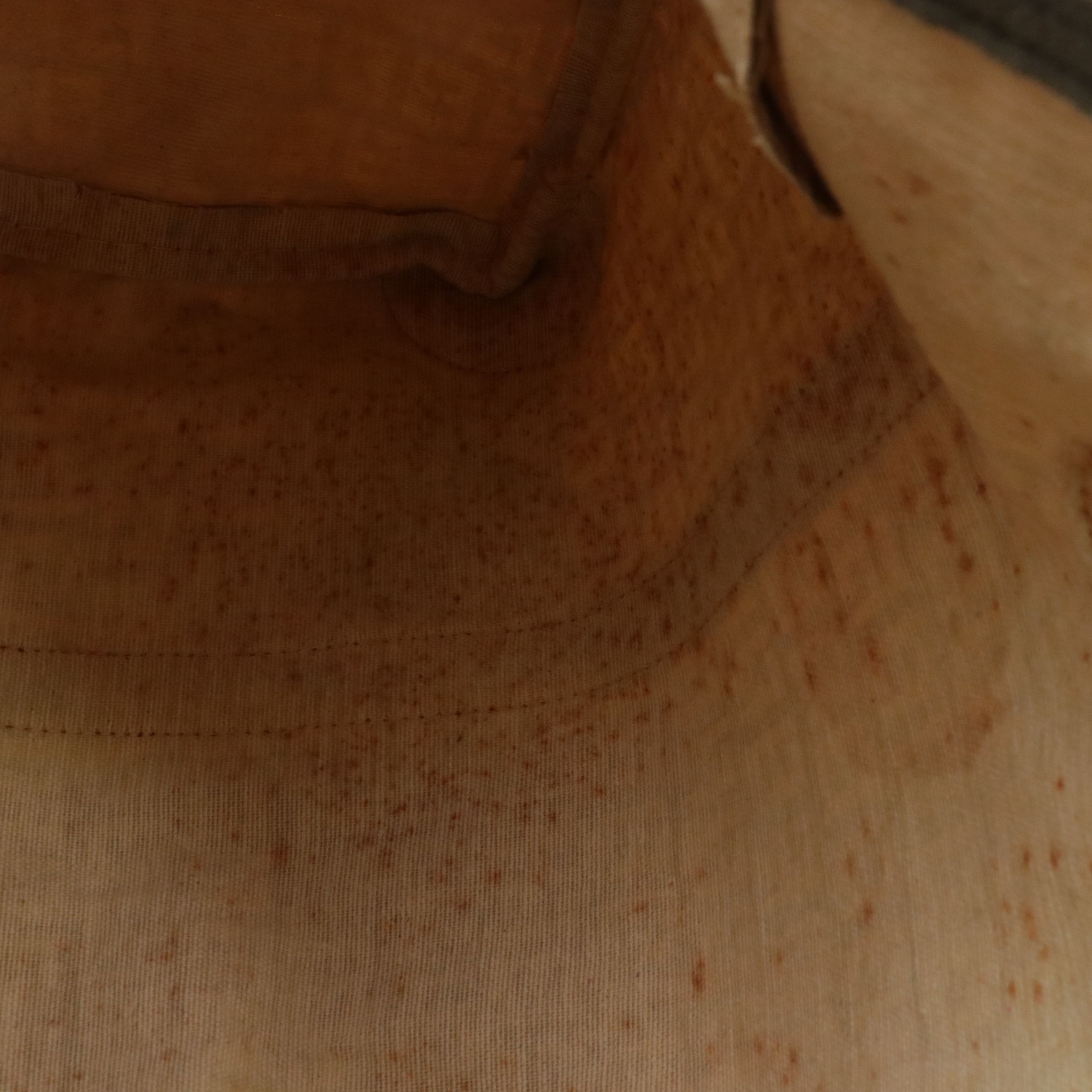 Fendi Small Duffle Bag in Brown Zucchino Vinyl and Textured Leather Trim