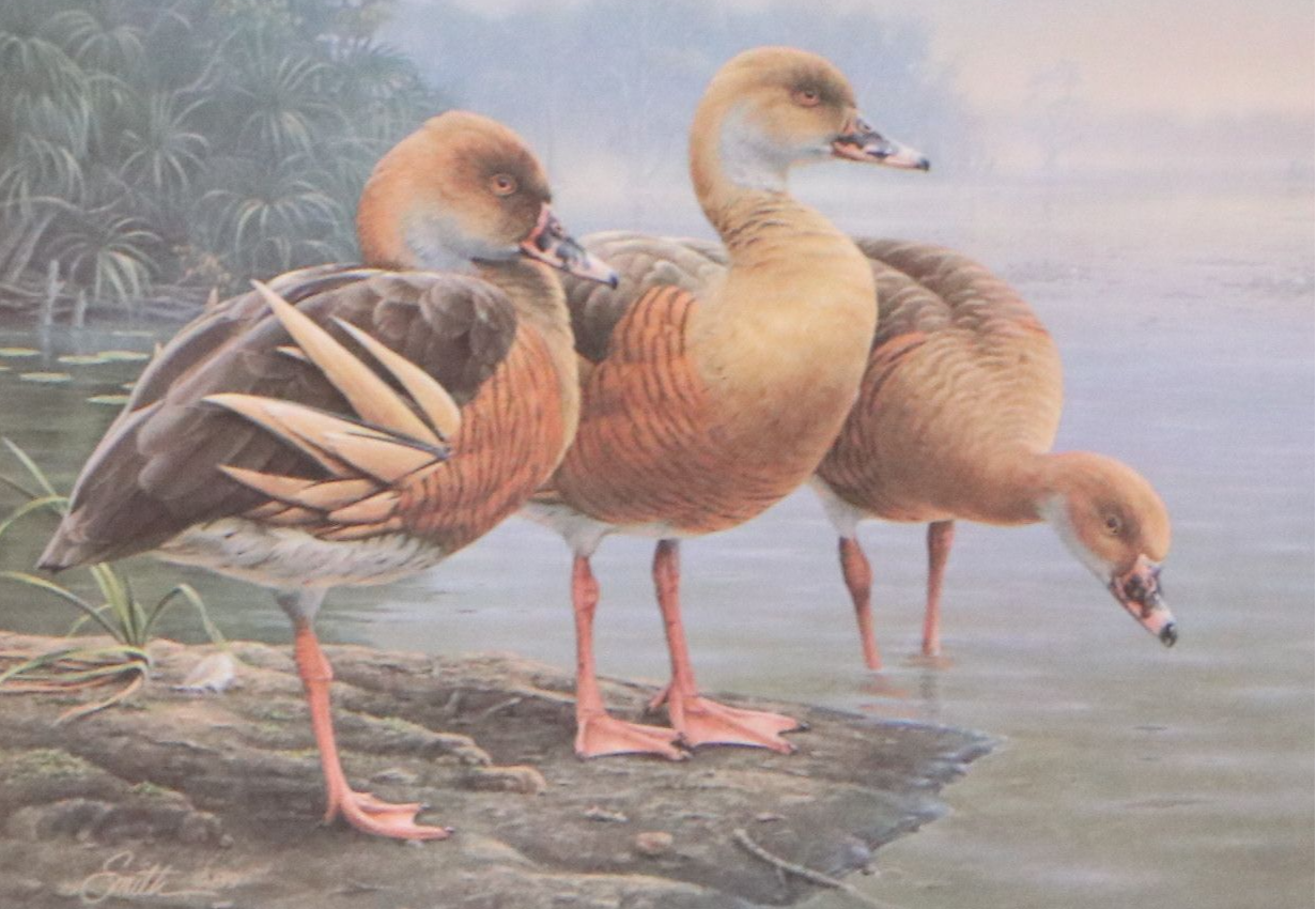Keith Warrick Washington Duck Stamp Print with Stamp and More, 1986