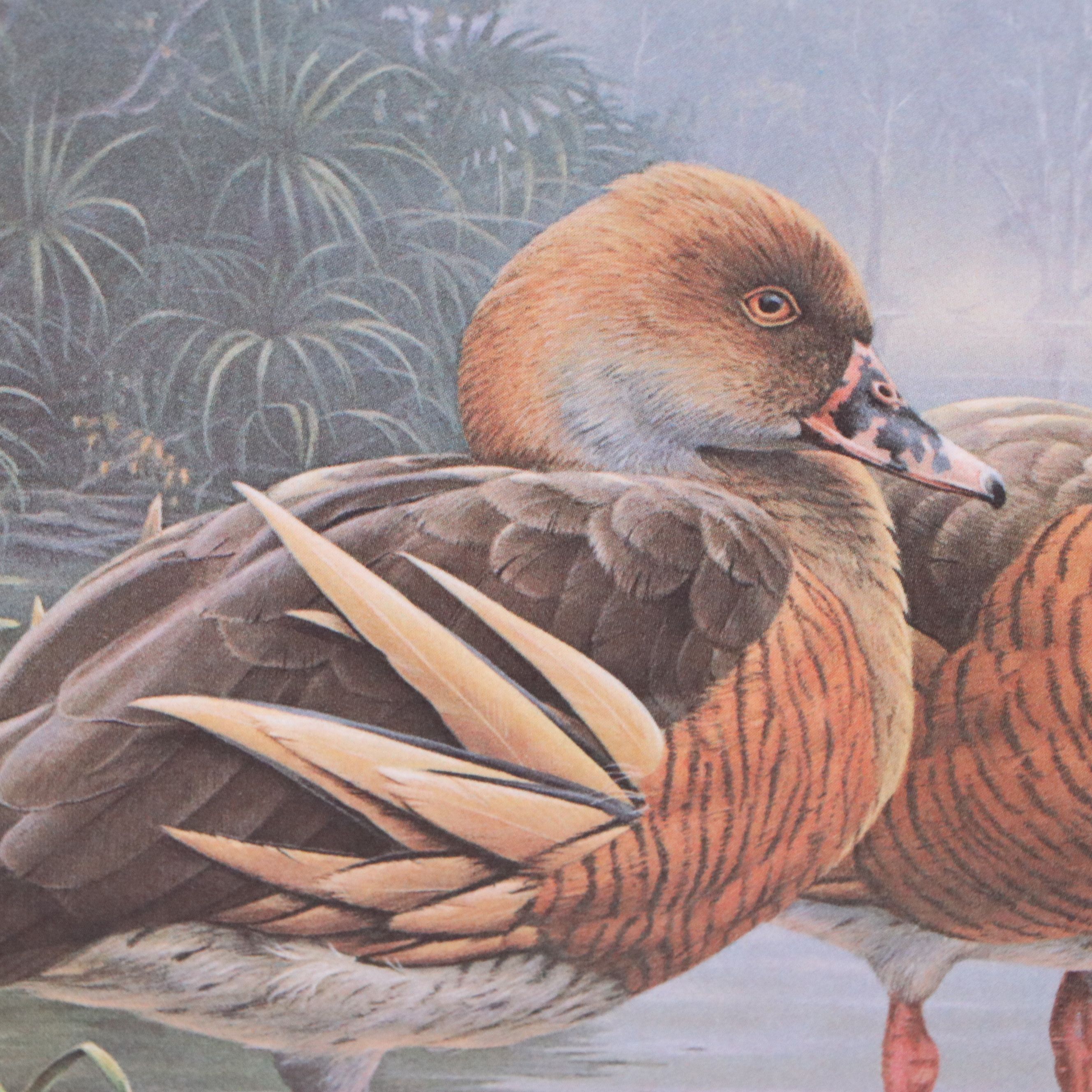Keith Warrick Washington Duck Stamp Print with Stamp and More, 1986