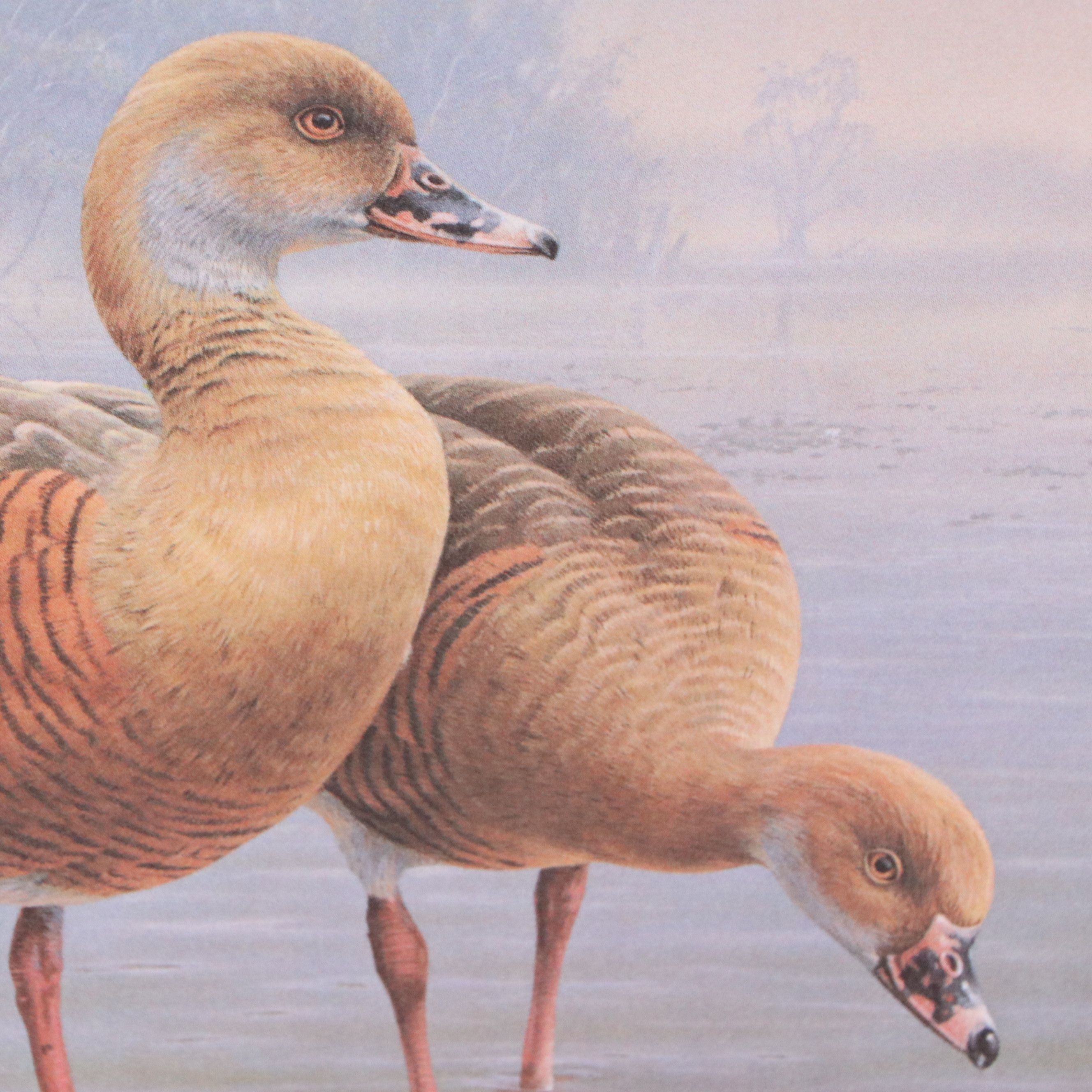 Keith Warrick Washington Duck Stamp Print with Stamp and More, 1986