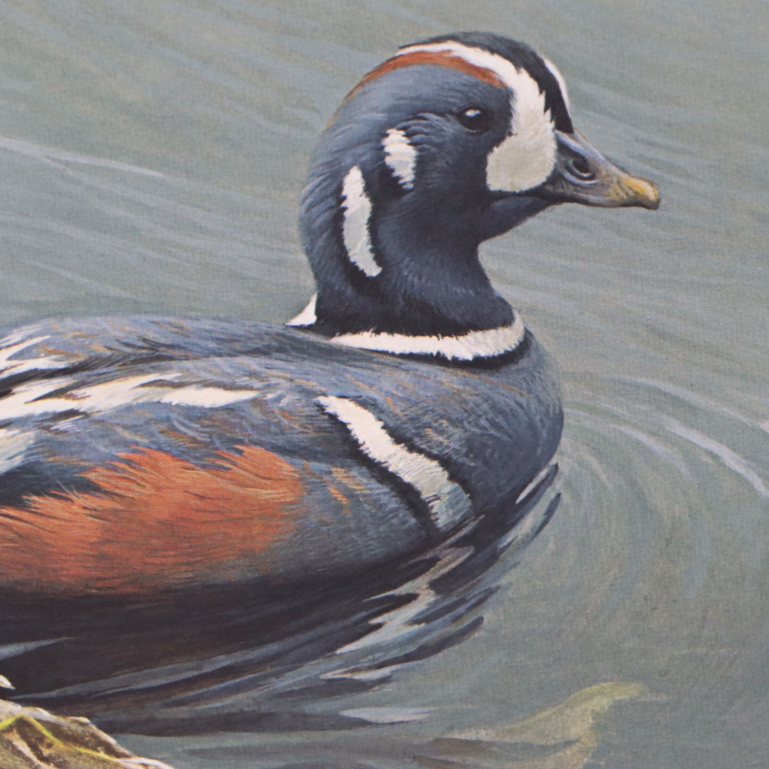 Keith Warrick Washington Duck Stamp Print with Stamp and More, 1986