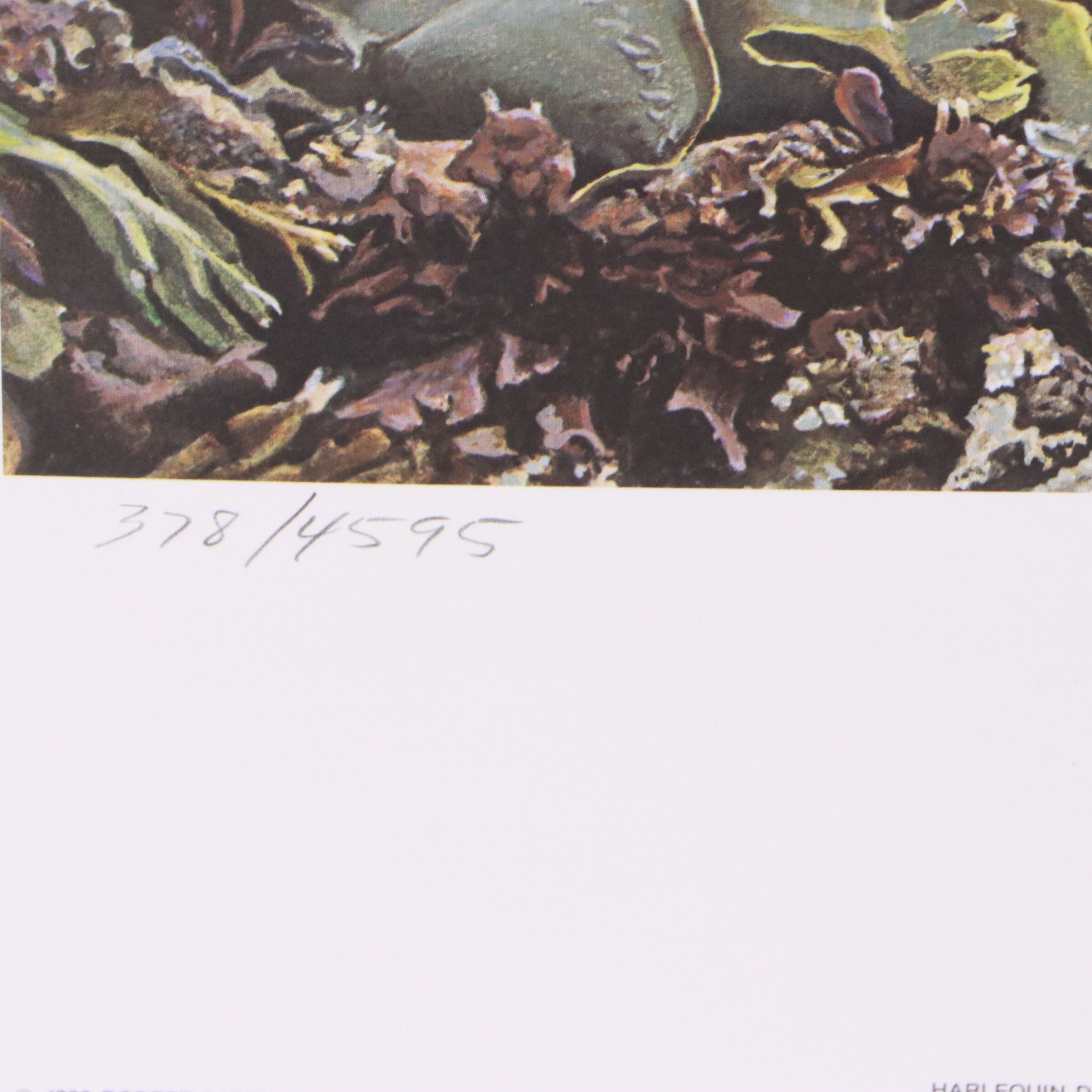 Keith Warrick Washington Duck Stamp Print with Stamp and More, 1986