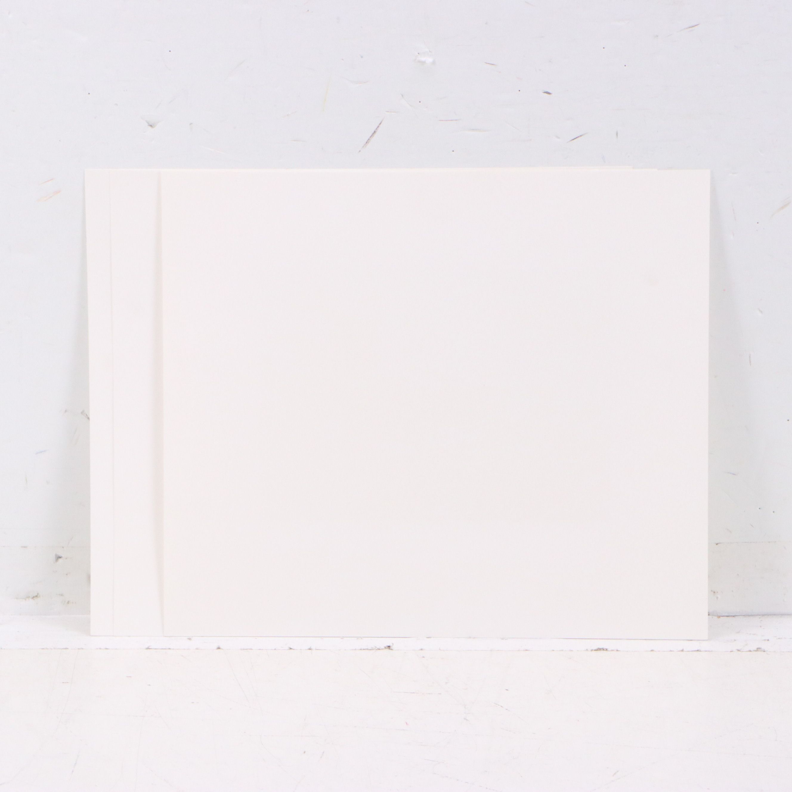 Keith Warrick Washington Duck Stamp Print with Stamp and More, 1986