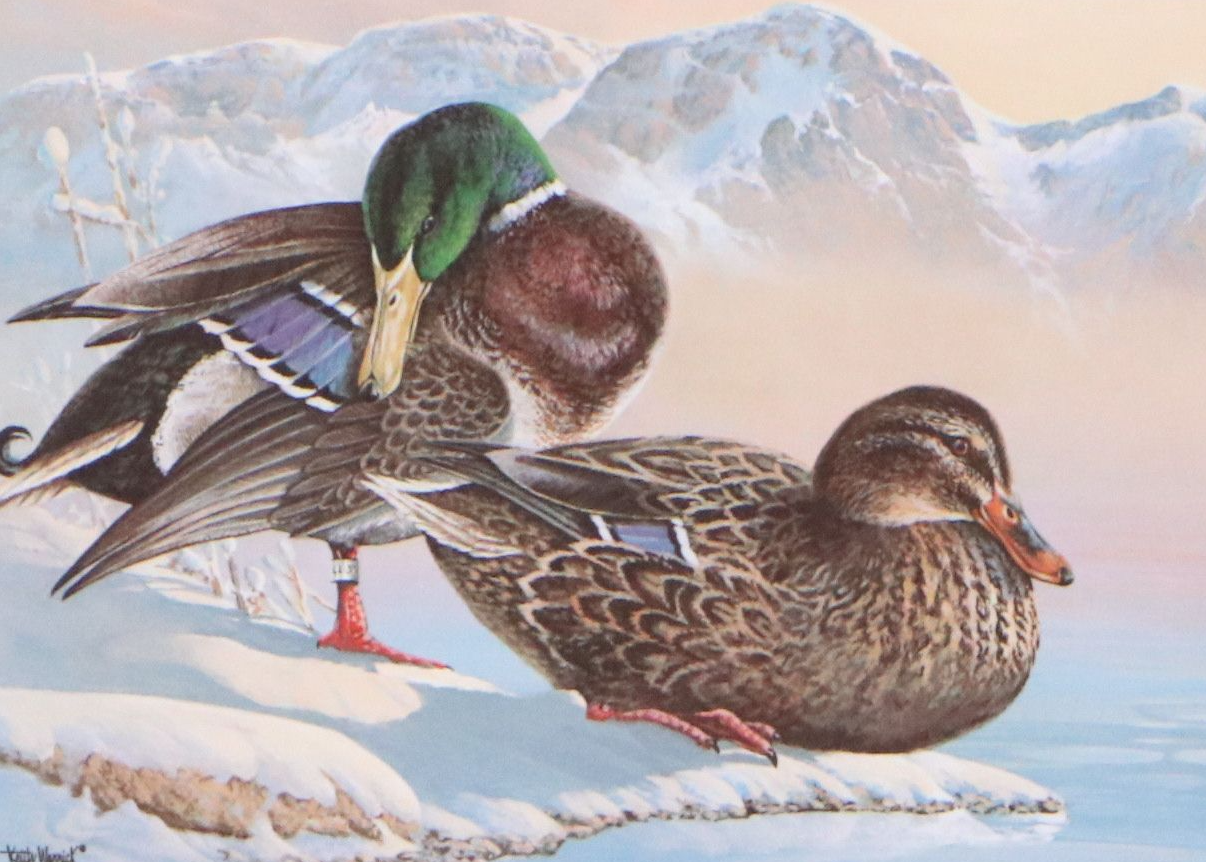 Keith Warrick Washington Duck Stamp Print with Stamp and More, 1986