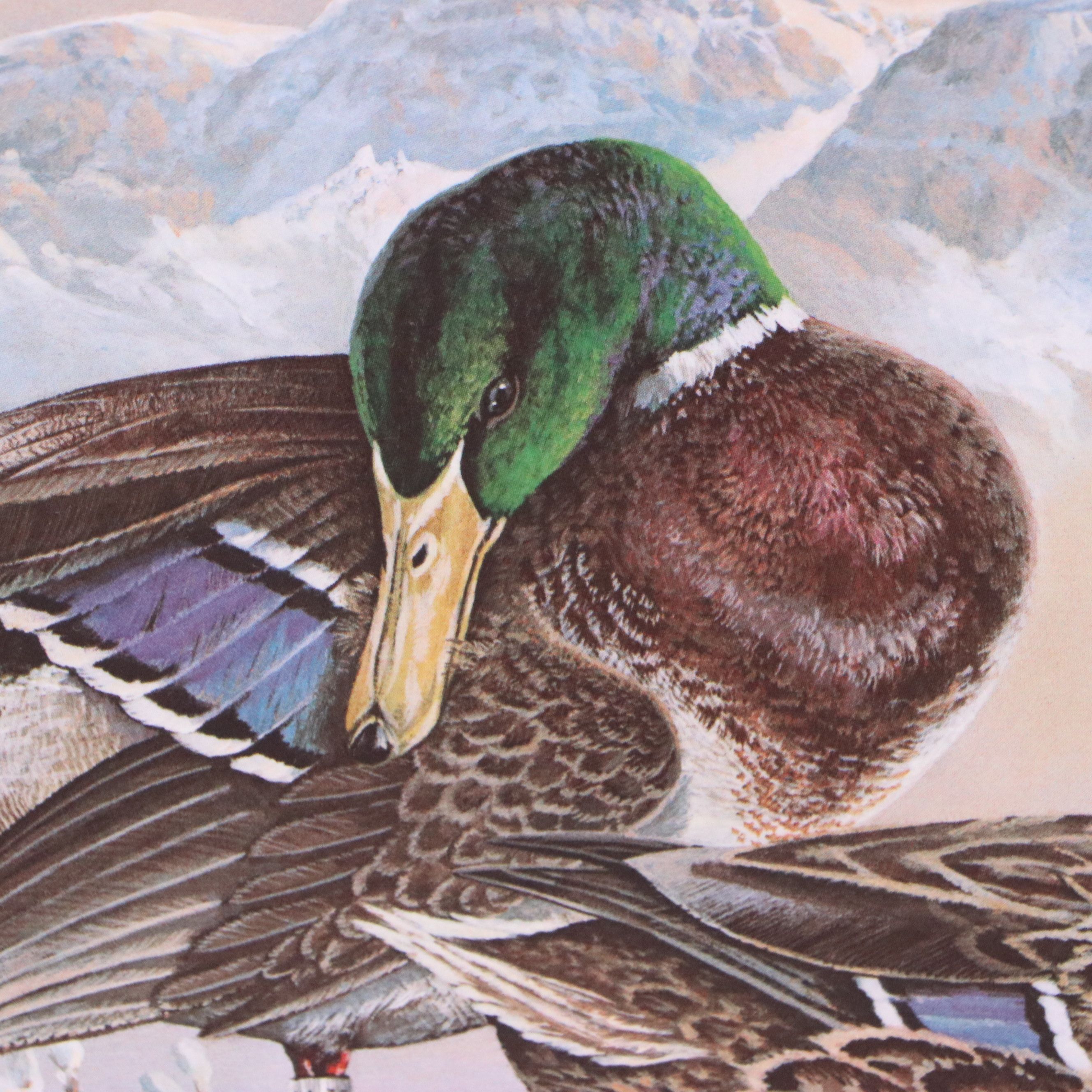 Keith Warrick Washington Duck Stamp Print with Stamp and More, 1986