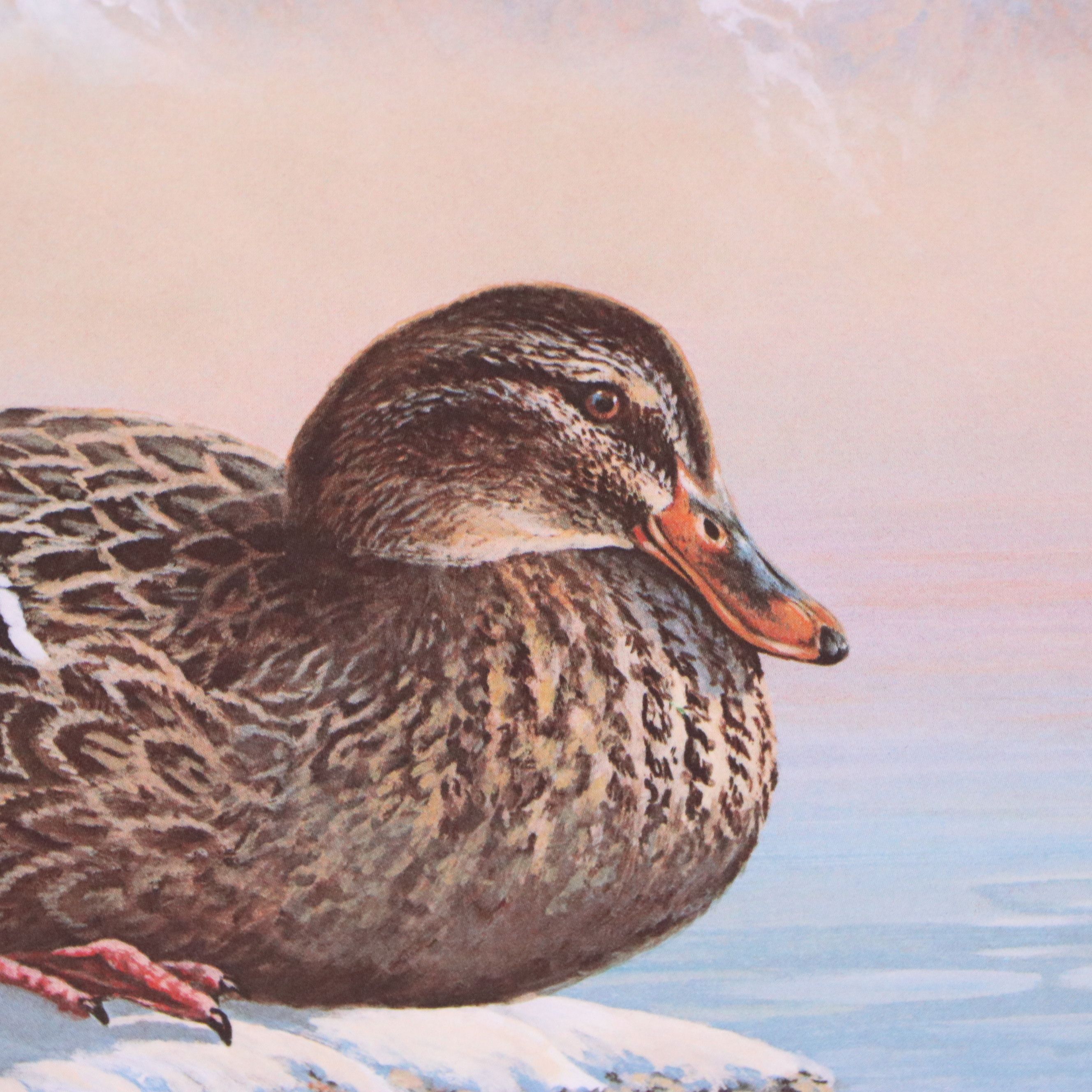Keith Warrick Washington Duck Stamp Print with Stamp and More, 1986