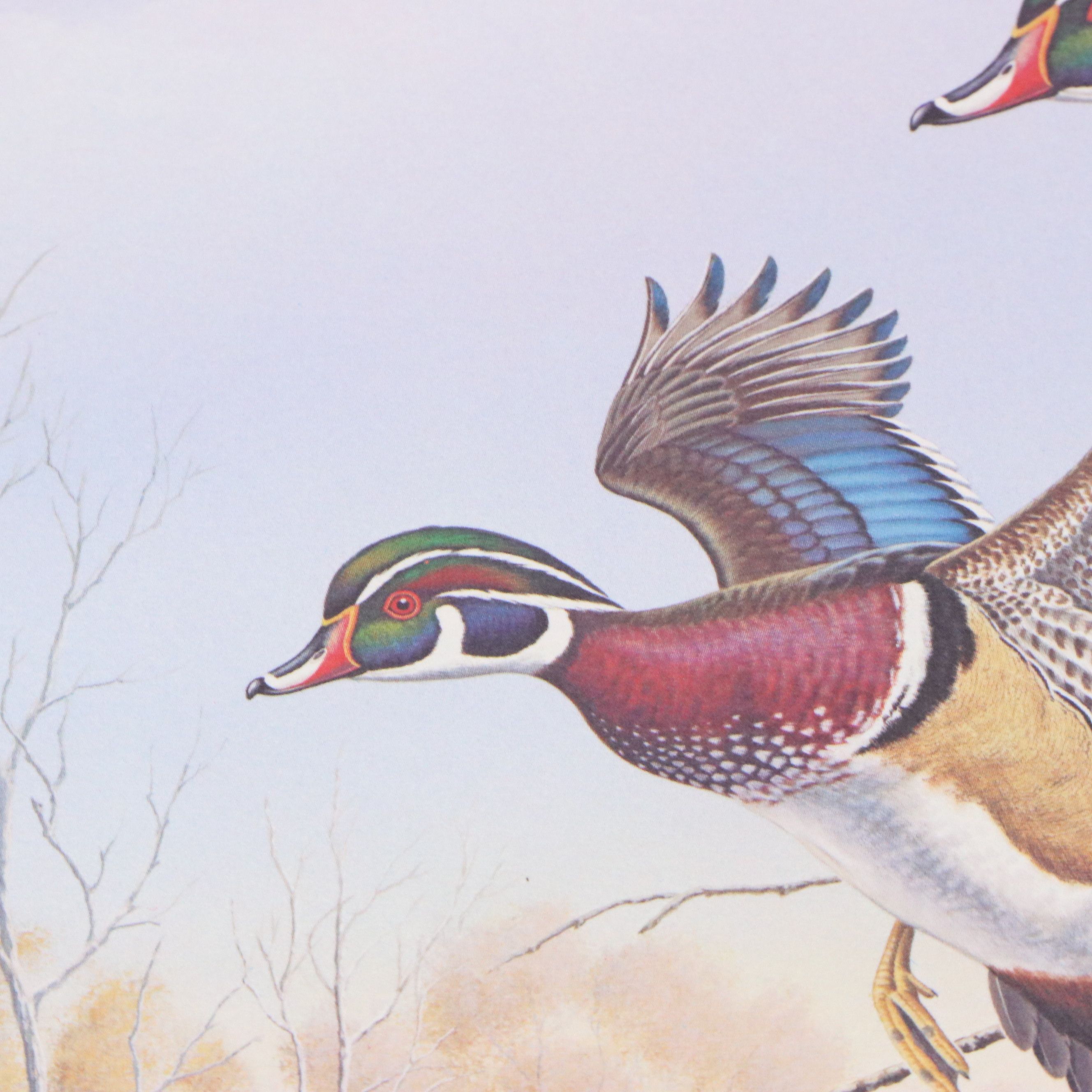 Dave Chapple Kentucky Duck Stamp Print with Stamp and More, 1986