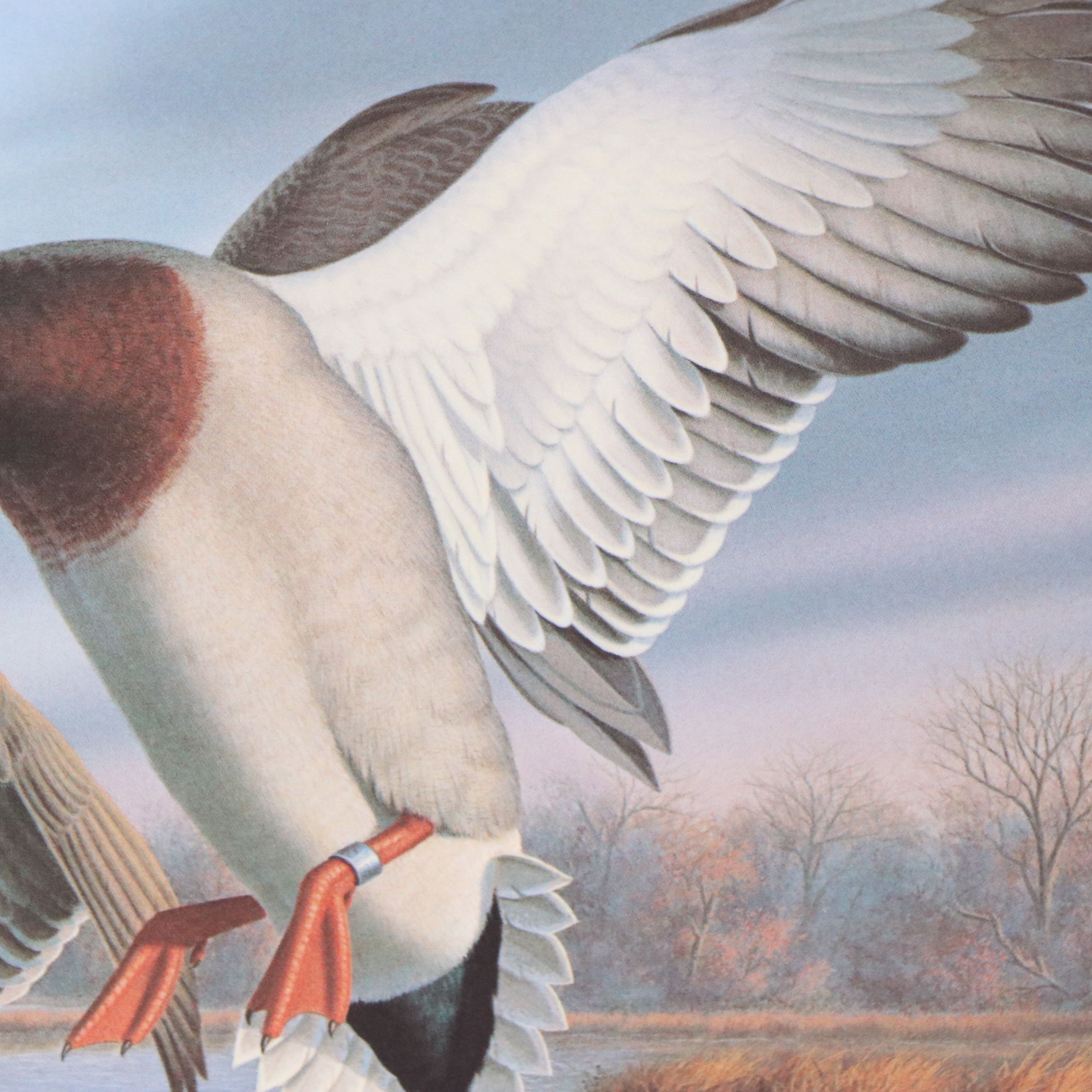 Dave Chapple Kentucky Duck Stamp Print with Stamp and More, 1986