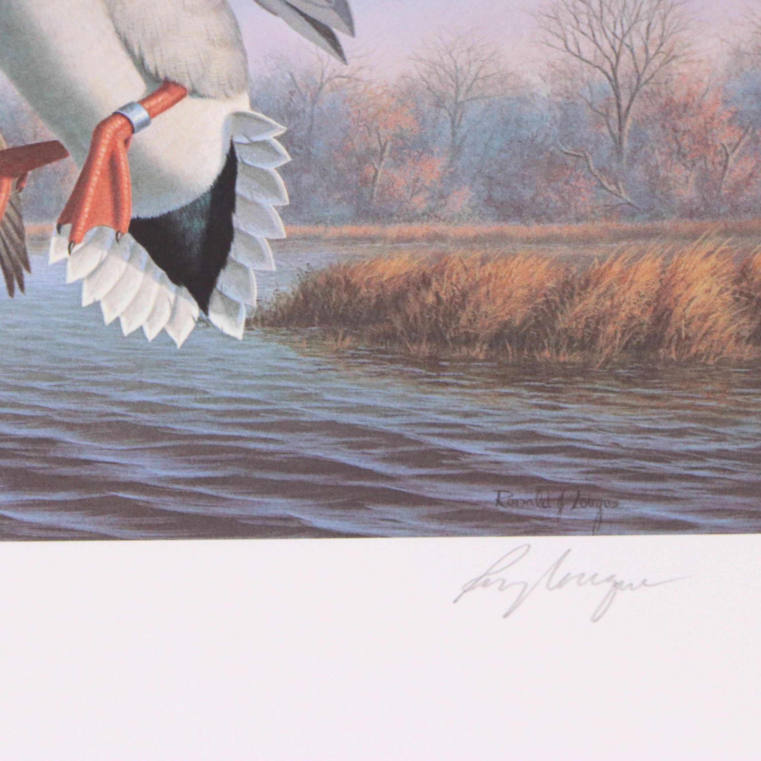Dave Chapple Kentucky Duck Stamp Print with Stamp and More, 1986