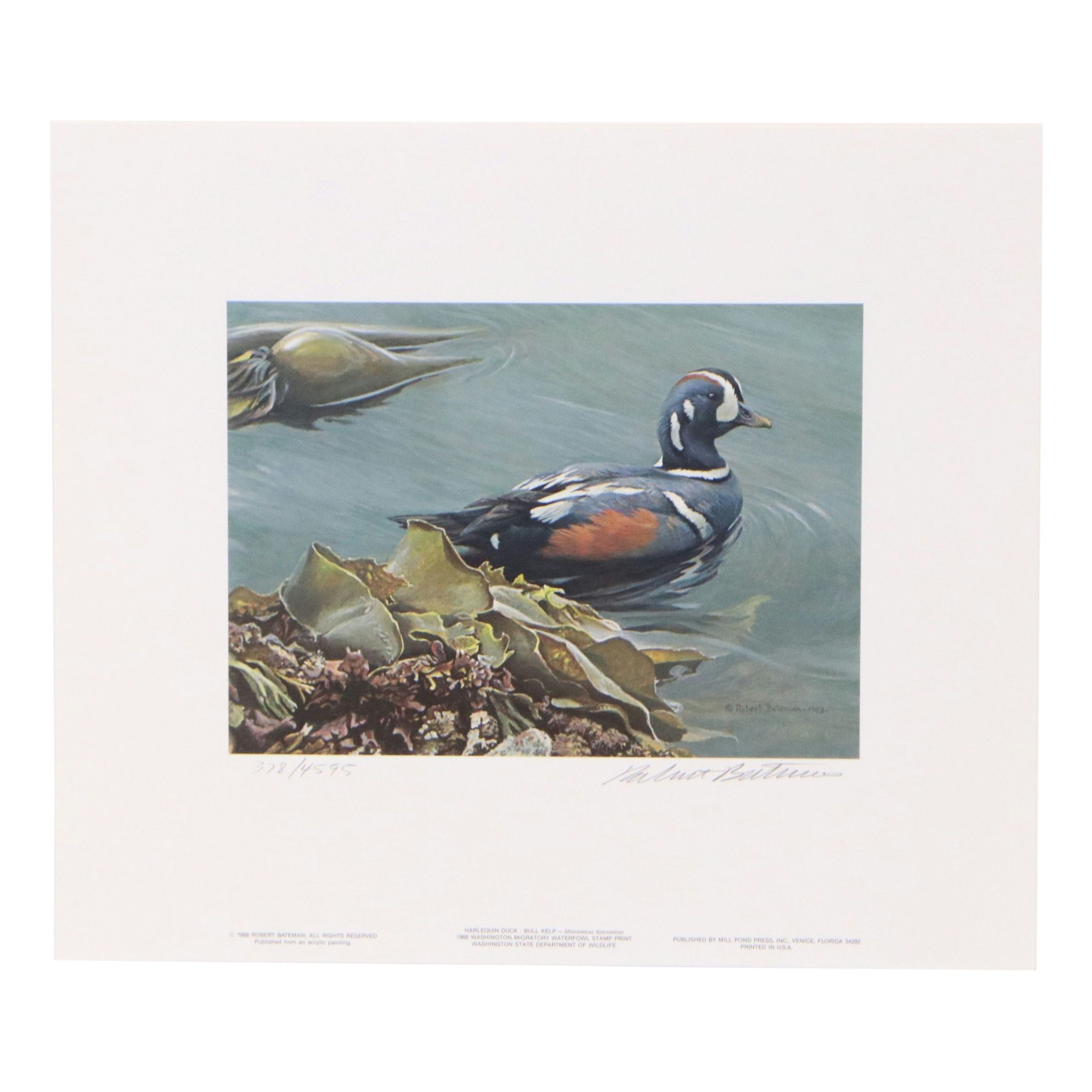 Keith Warrick Washington Duck Stamp Print with Stamp and More, 1986