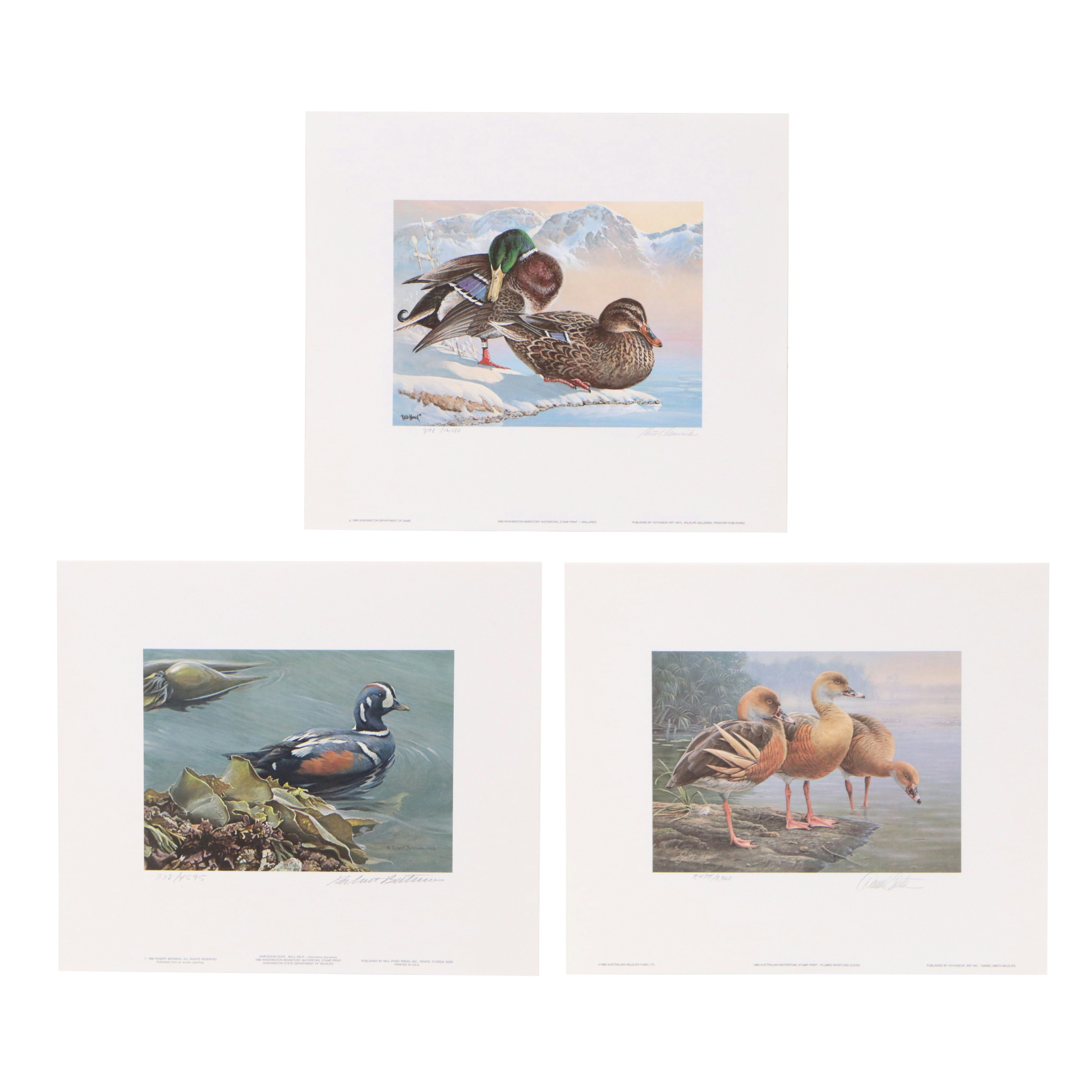 Keith Warrick Washington Duck Stamp Print with Stamp and More, 1986