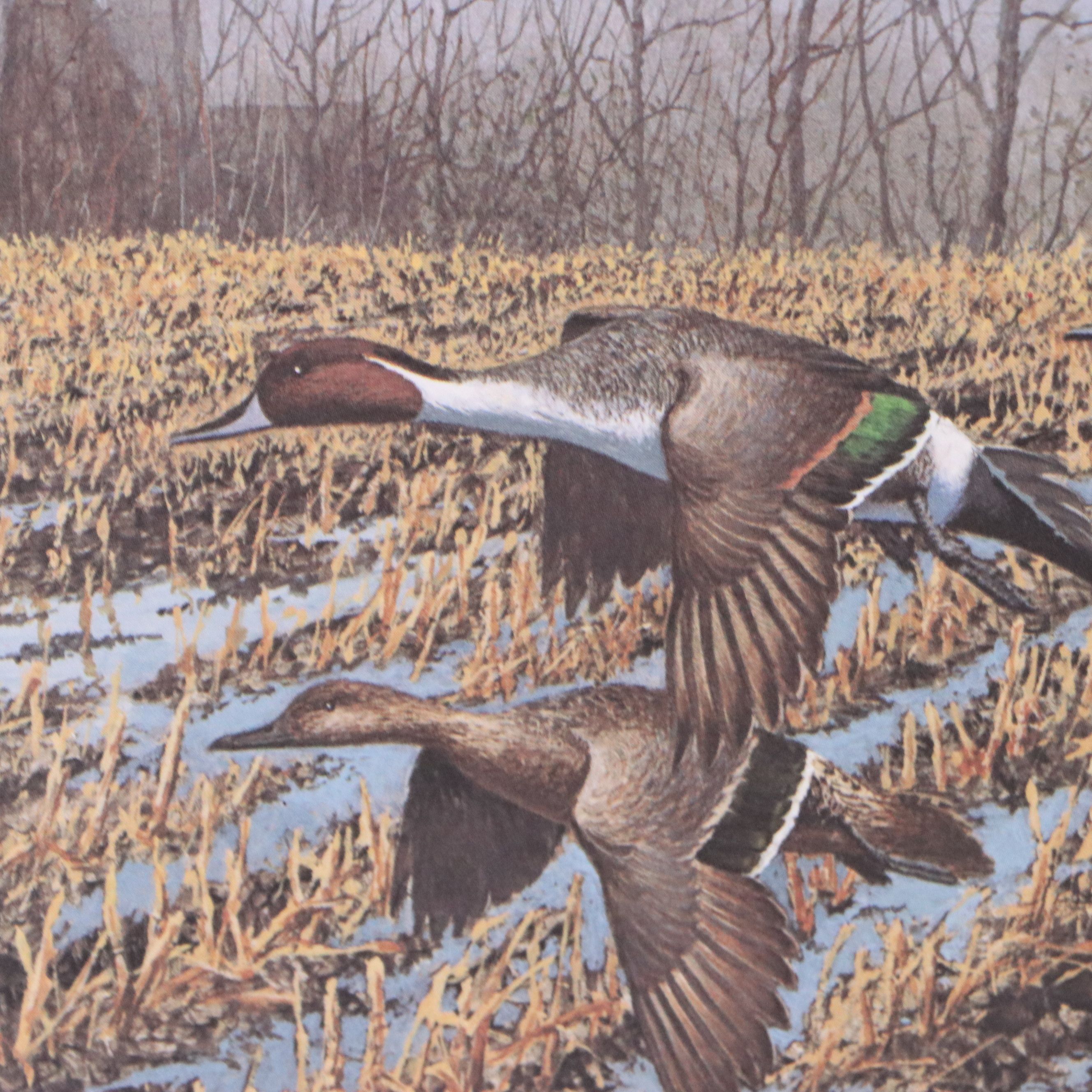 Migratory Bird Conservation Stamps and Offset Lithographs, 1980s