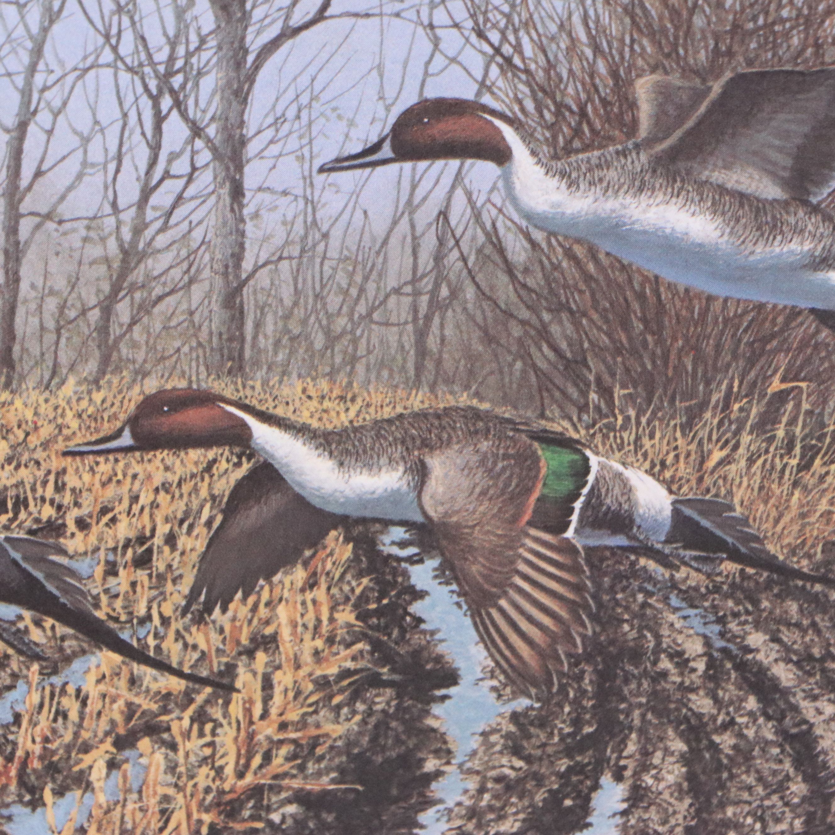 Migratory Bird Conservation Stamps and Offset Lithographs, 1980s