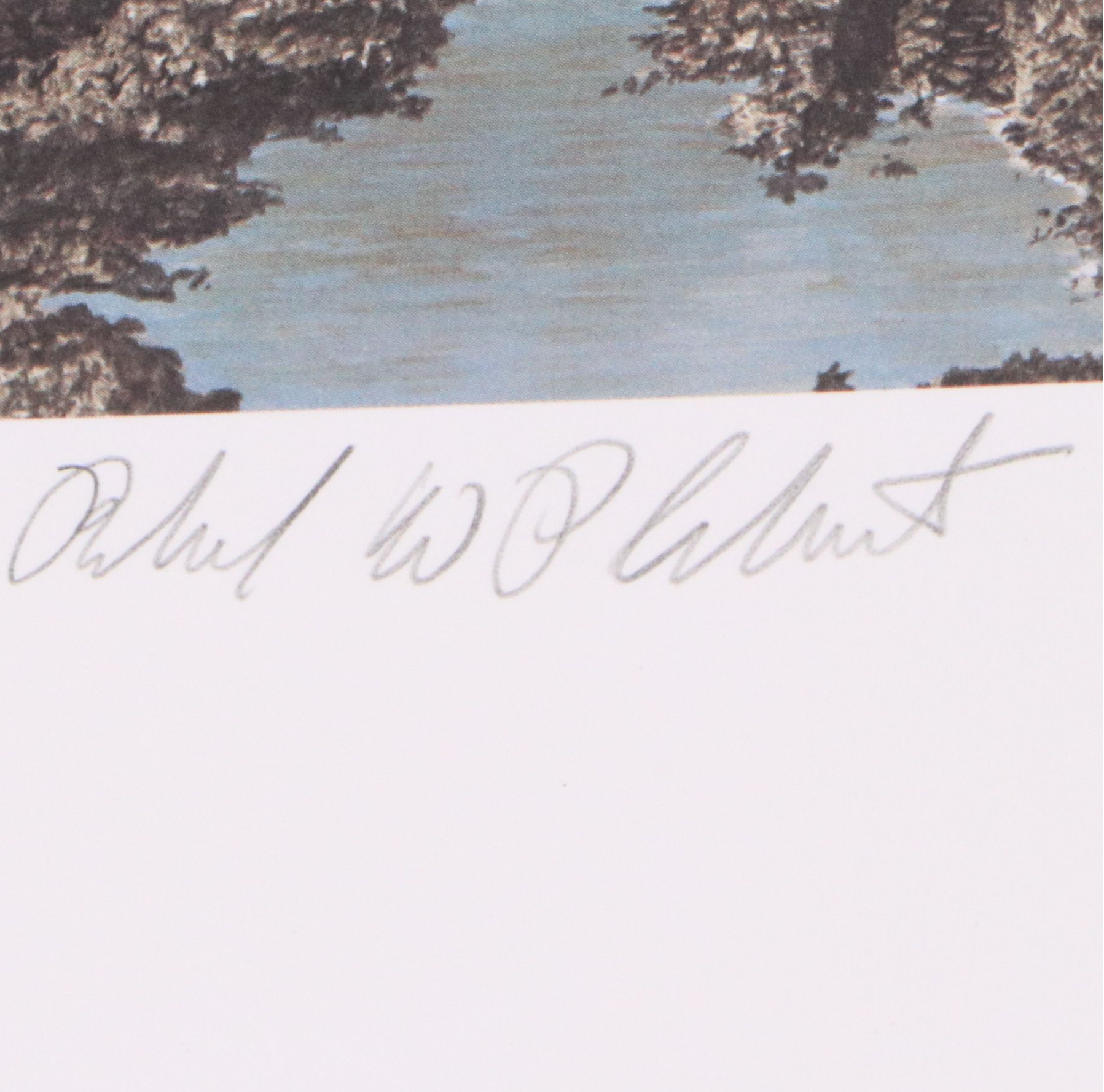 Migratory Bird Conservation Stamps and Offset Lithographs, 1980s