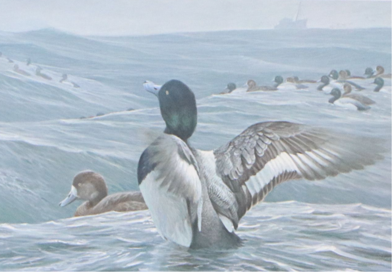 Migratory Bird Conservation Stamps and Offset Lithographs, 1980s