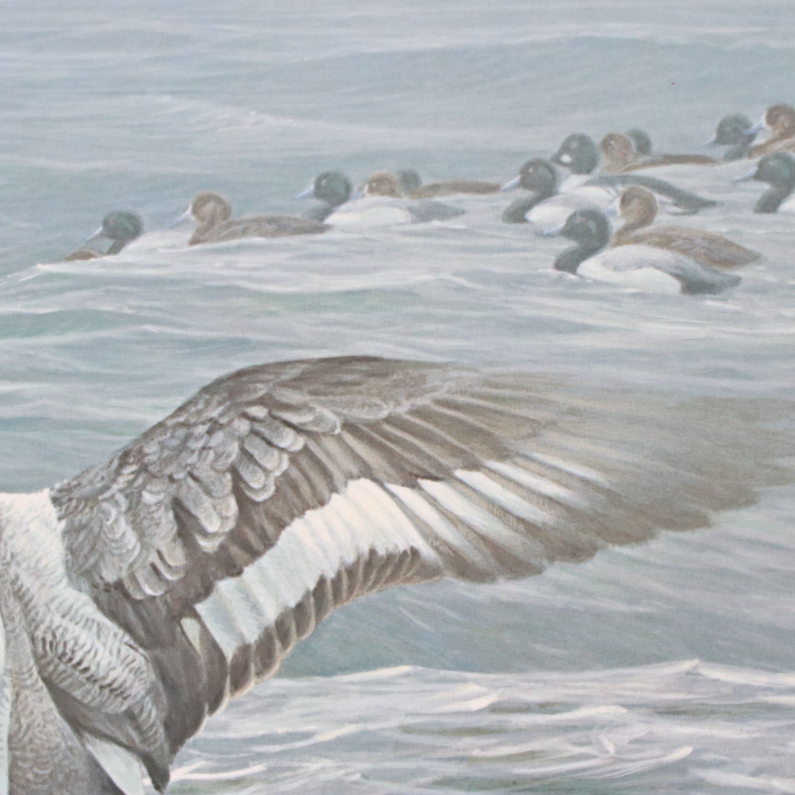 Migratory Bird Conservation Stamps and Offset Lithographs, 1980s