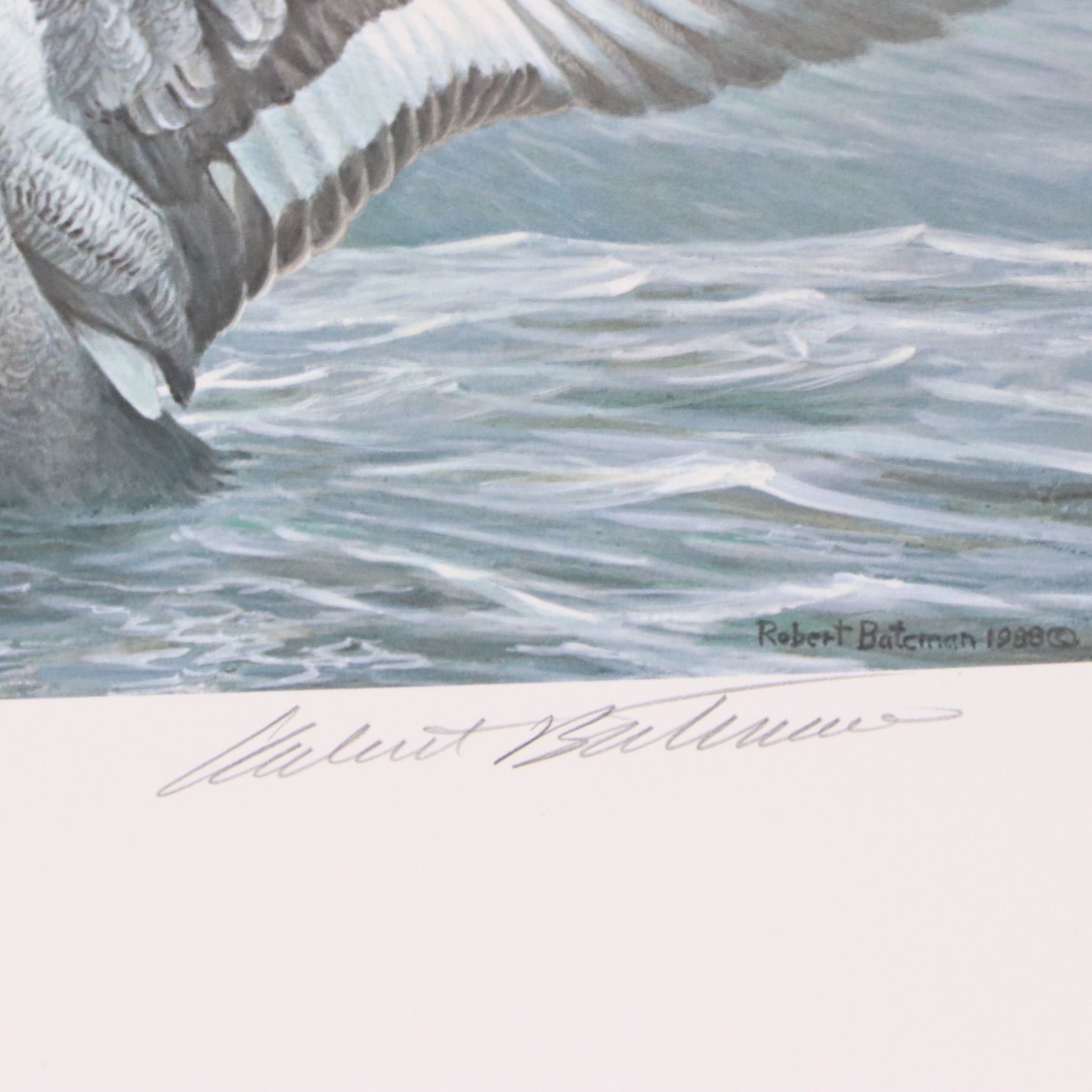 Migratory Bird Conservation Stamps and Offset Lithographs, 1980s