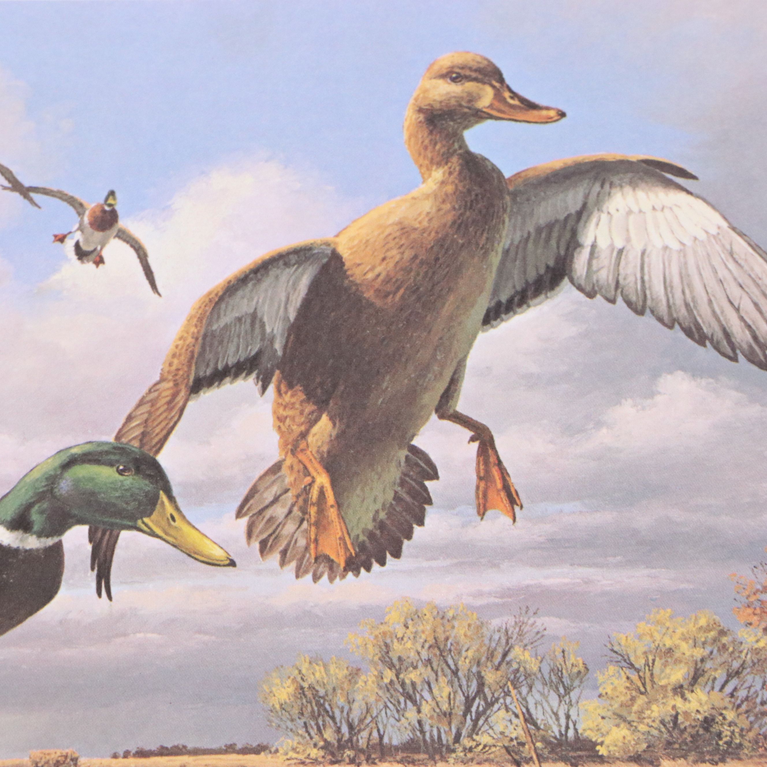 Migratory Bird Conservation Stamps and Offset Lithographs, 1980s