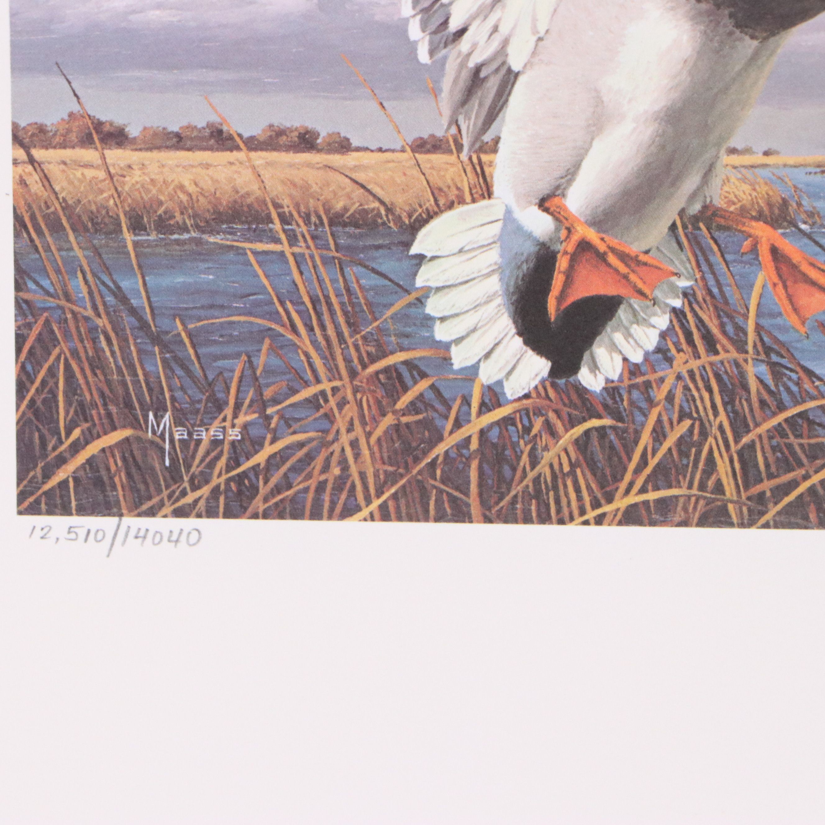 Migratory Bird Conservation Stamps and Offset Lithographs, 1980s