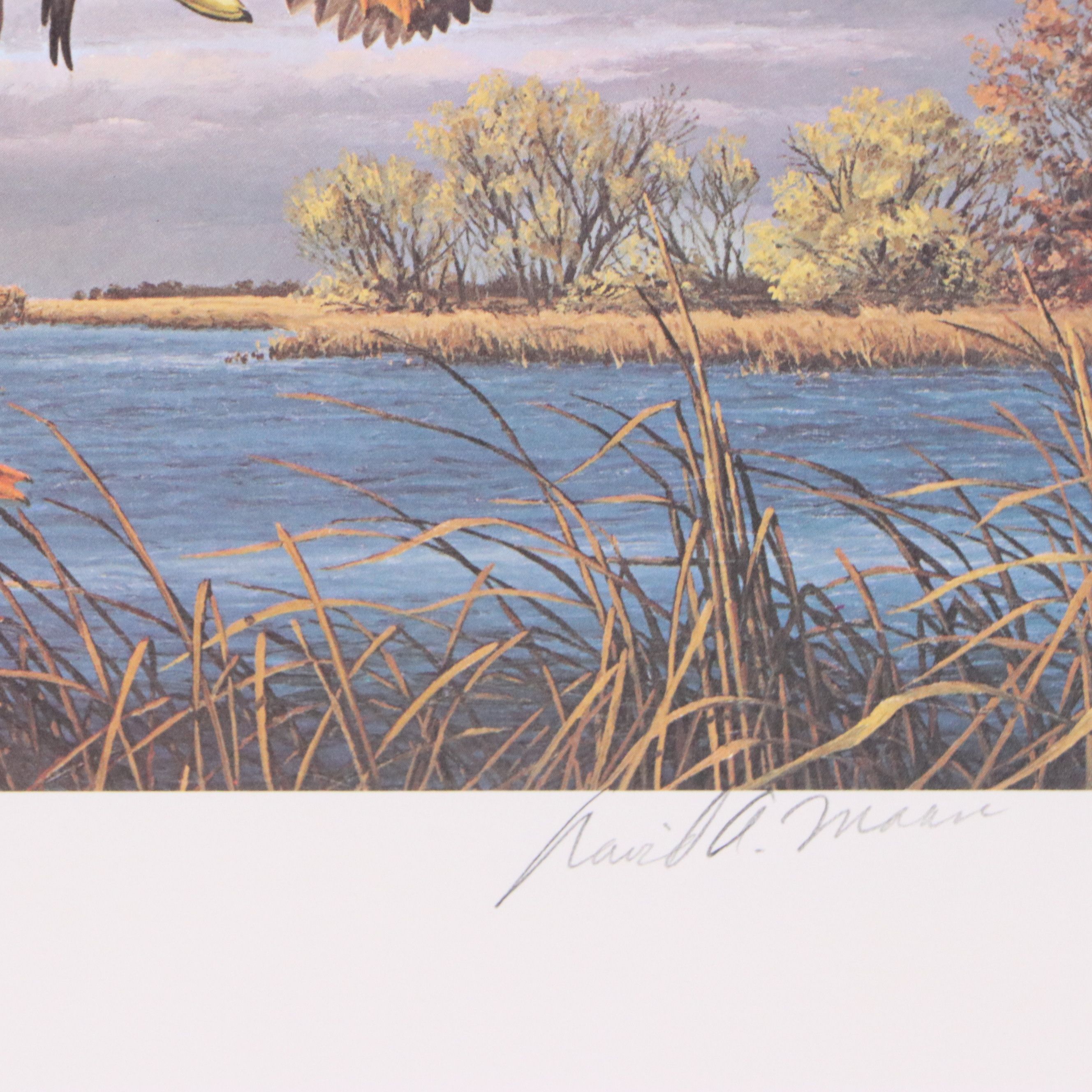 Migratory Bird Conservation Stamps and Offset Lithographs, 1980s