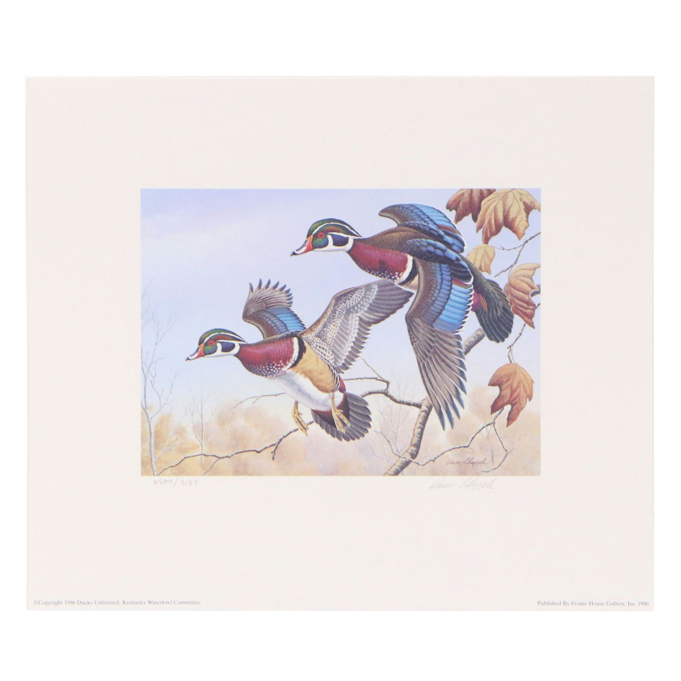 Dave Chapple Kentucky Duck Stamp Print with Stamp and More, 1986