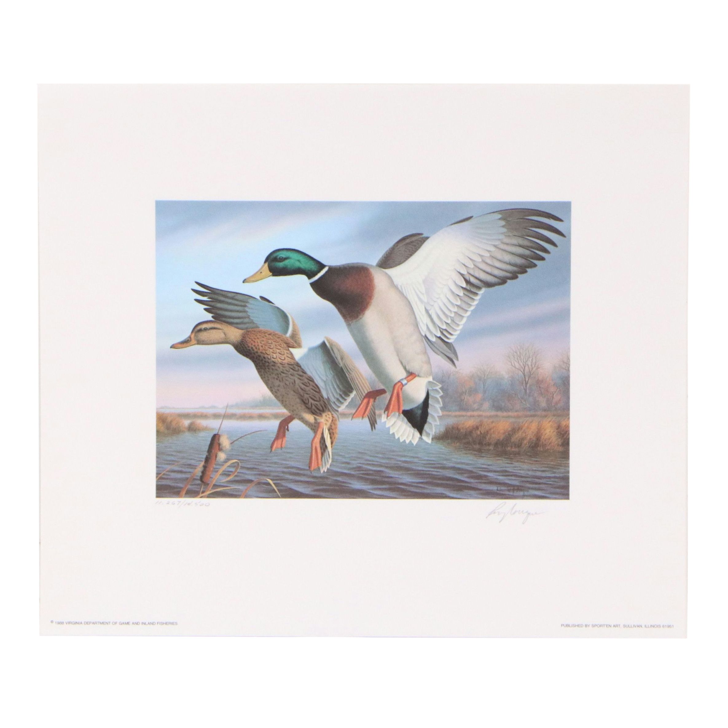 Dave Chapple Kentucky Duck Stamp Print with Stamp and More, 1986
